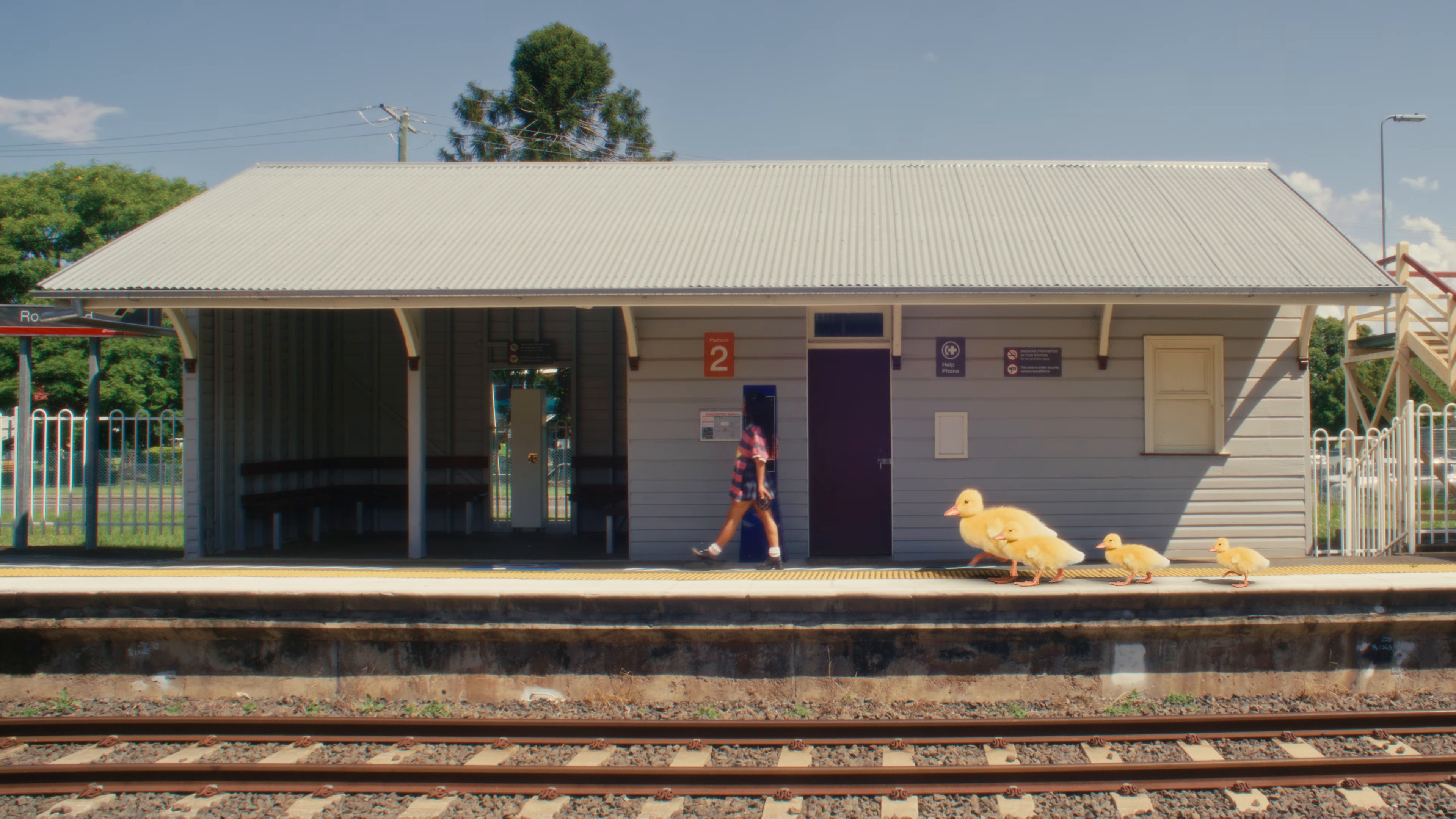 Horses (2024) —  shot,  lighting