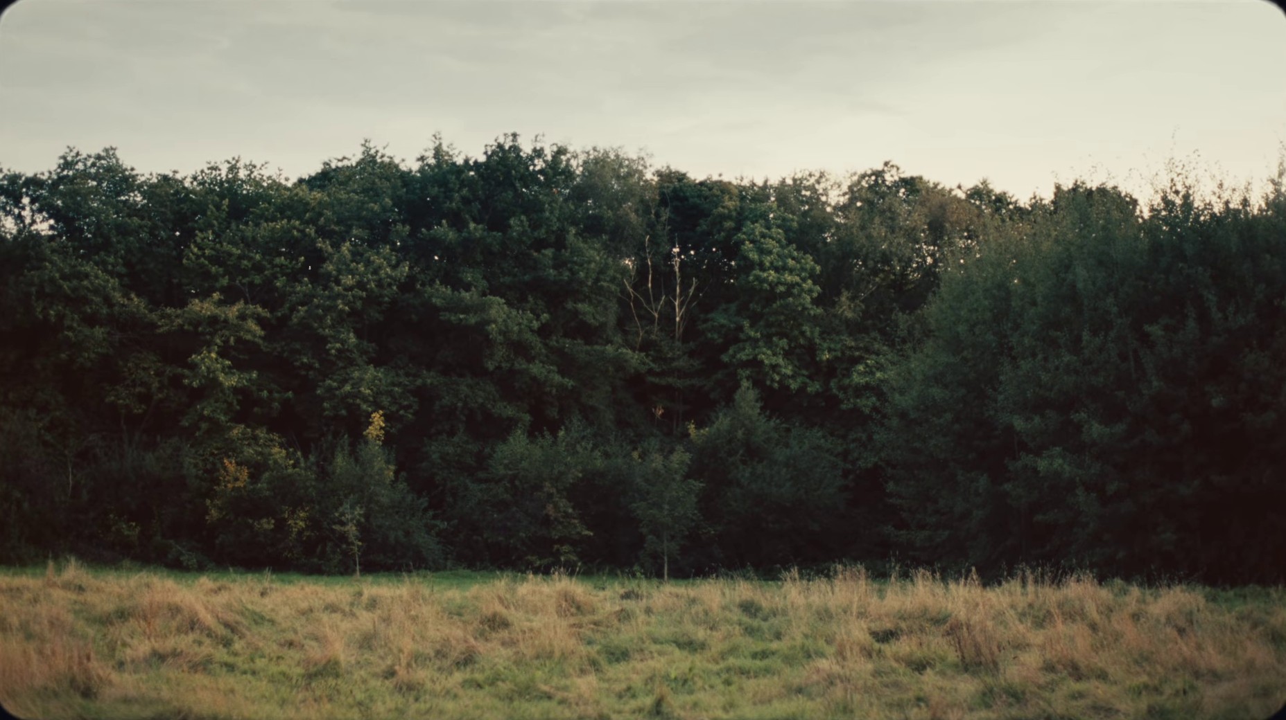 I Love You, I Hate You (2021) —  shot,  lighting