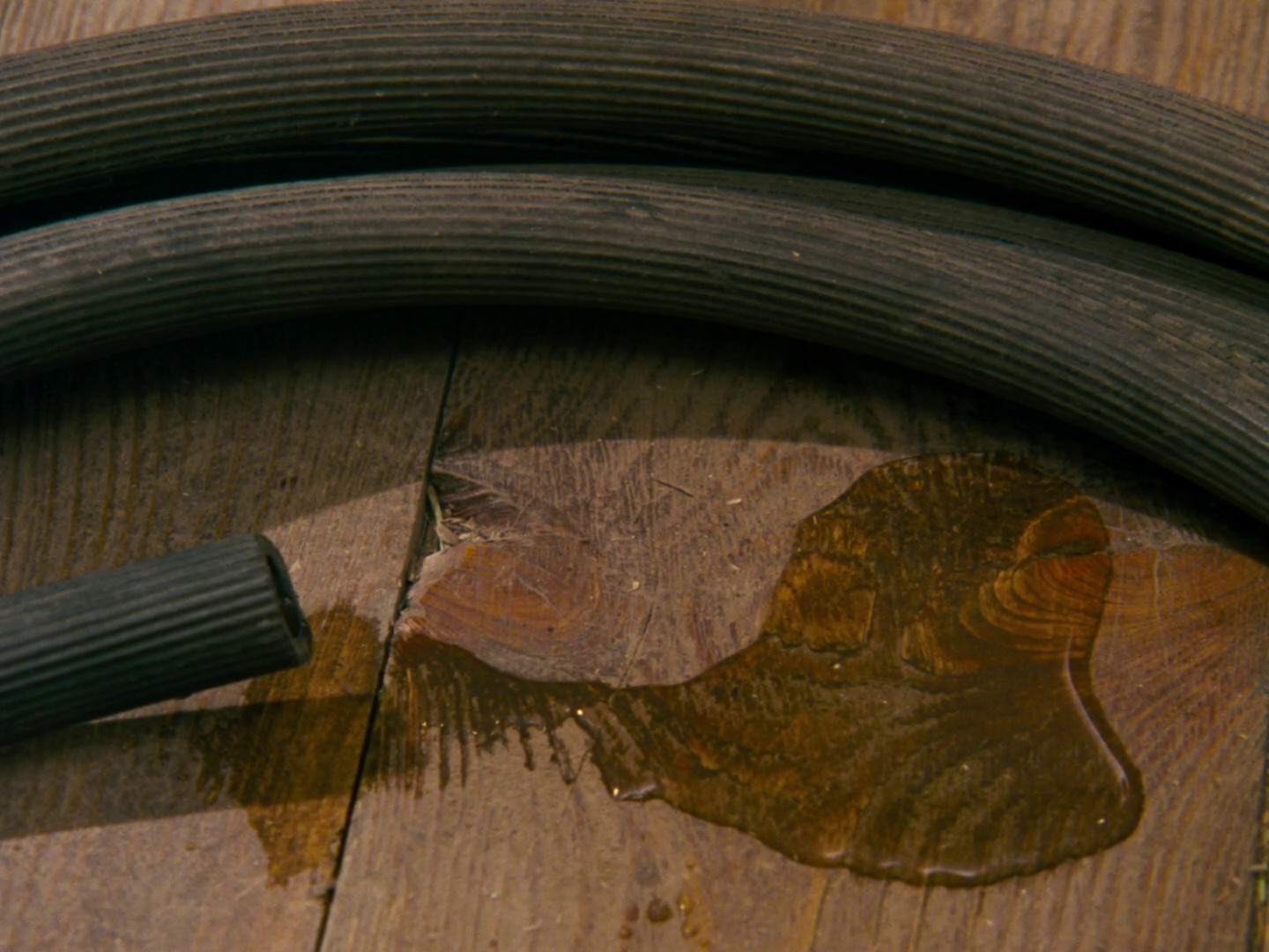 Alice (1988) —  shot,  lighting