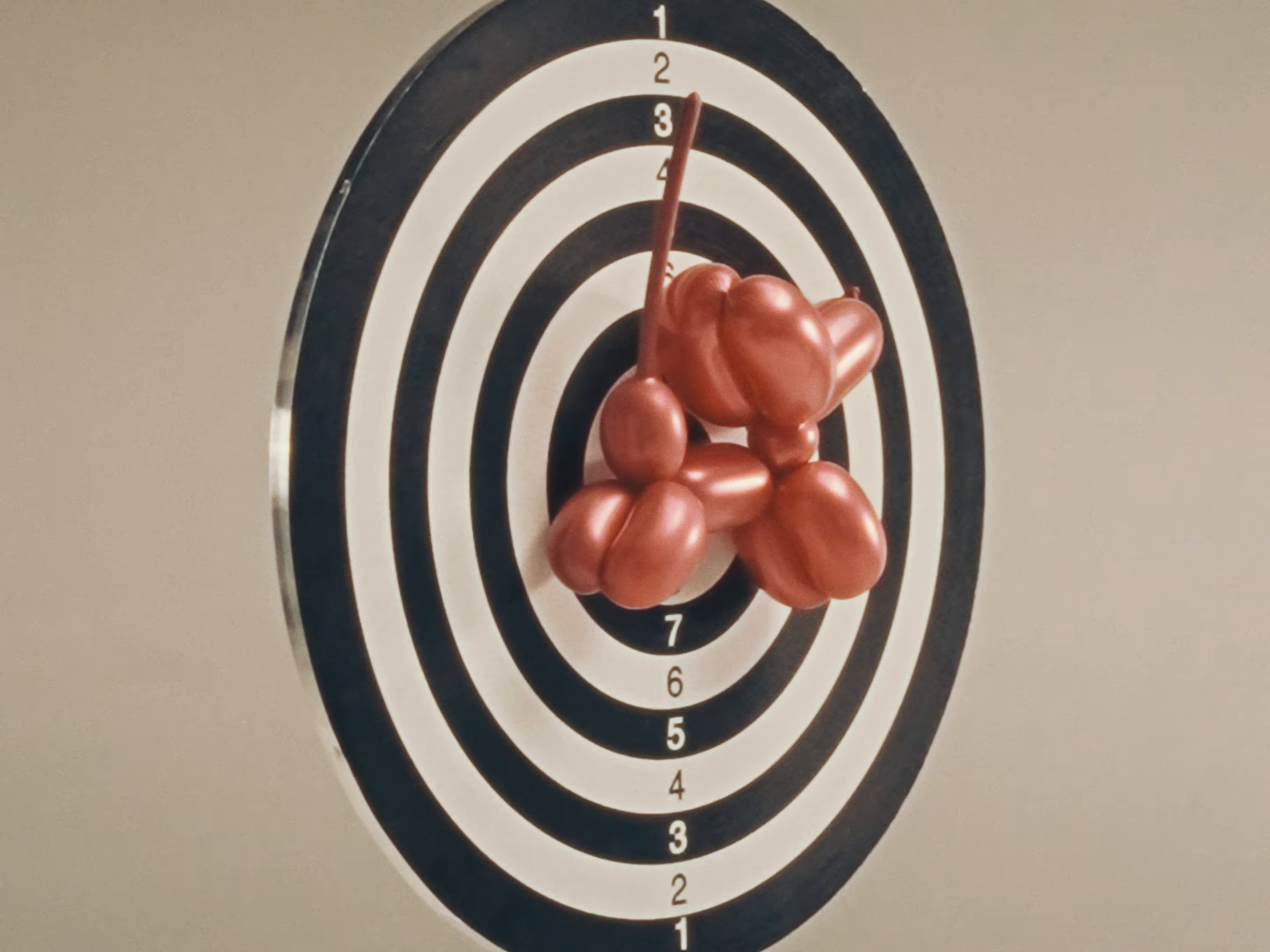 dog (2024) —  shot,  lighting