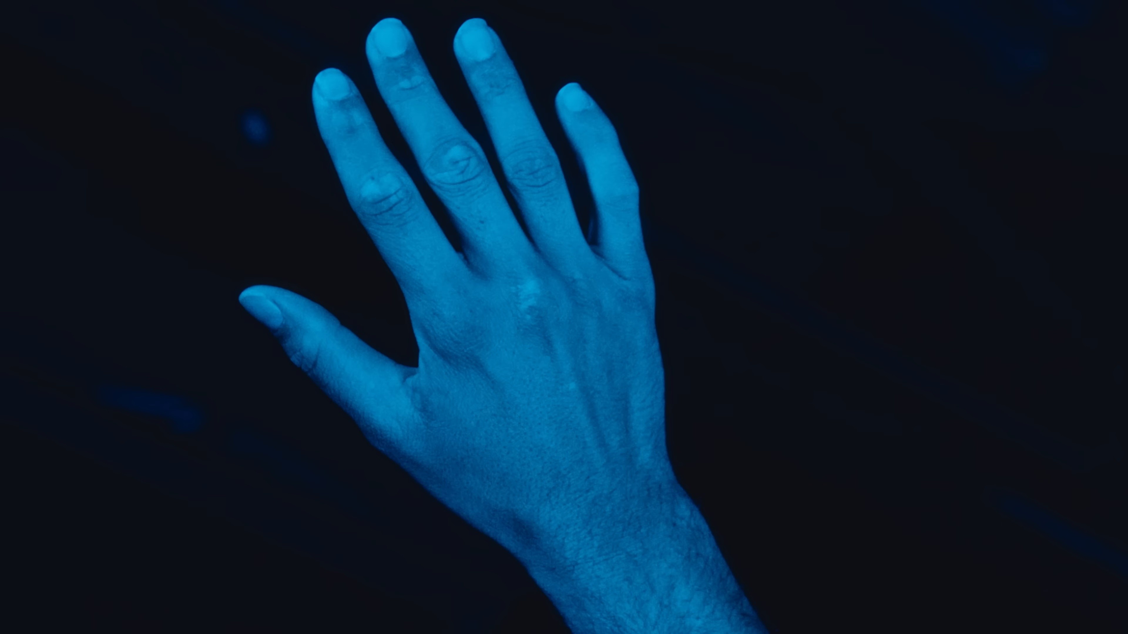 Only If You Say So (2024) —  shot,  lighting