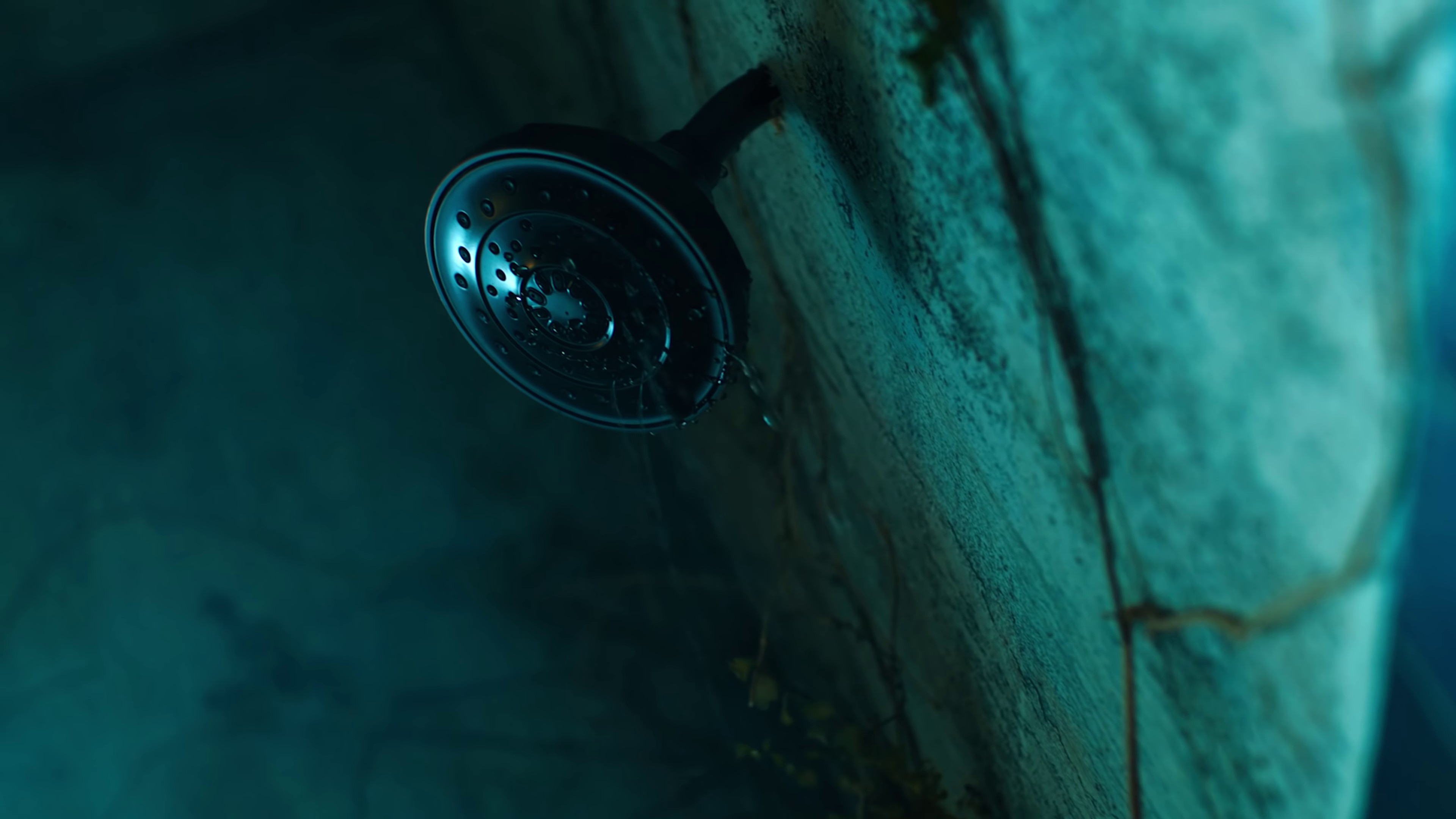 Good Boy Gone Bad (2022) —  shot,  lighting