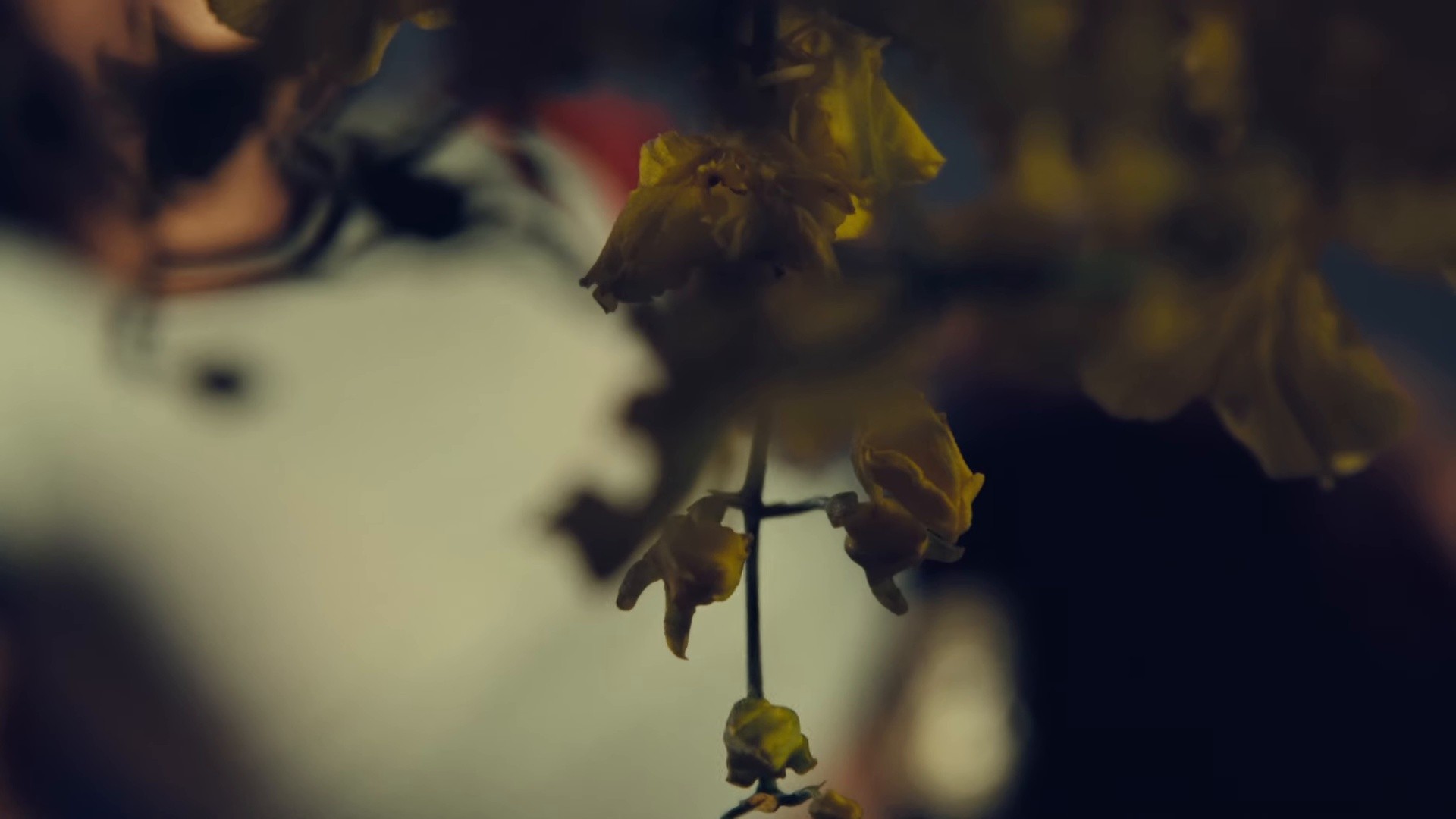 6am (2025) —  shot,  lighting