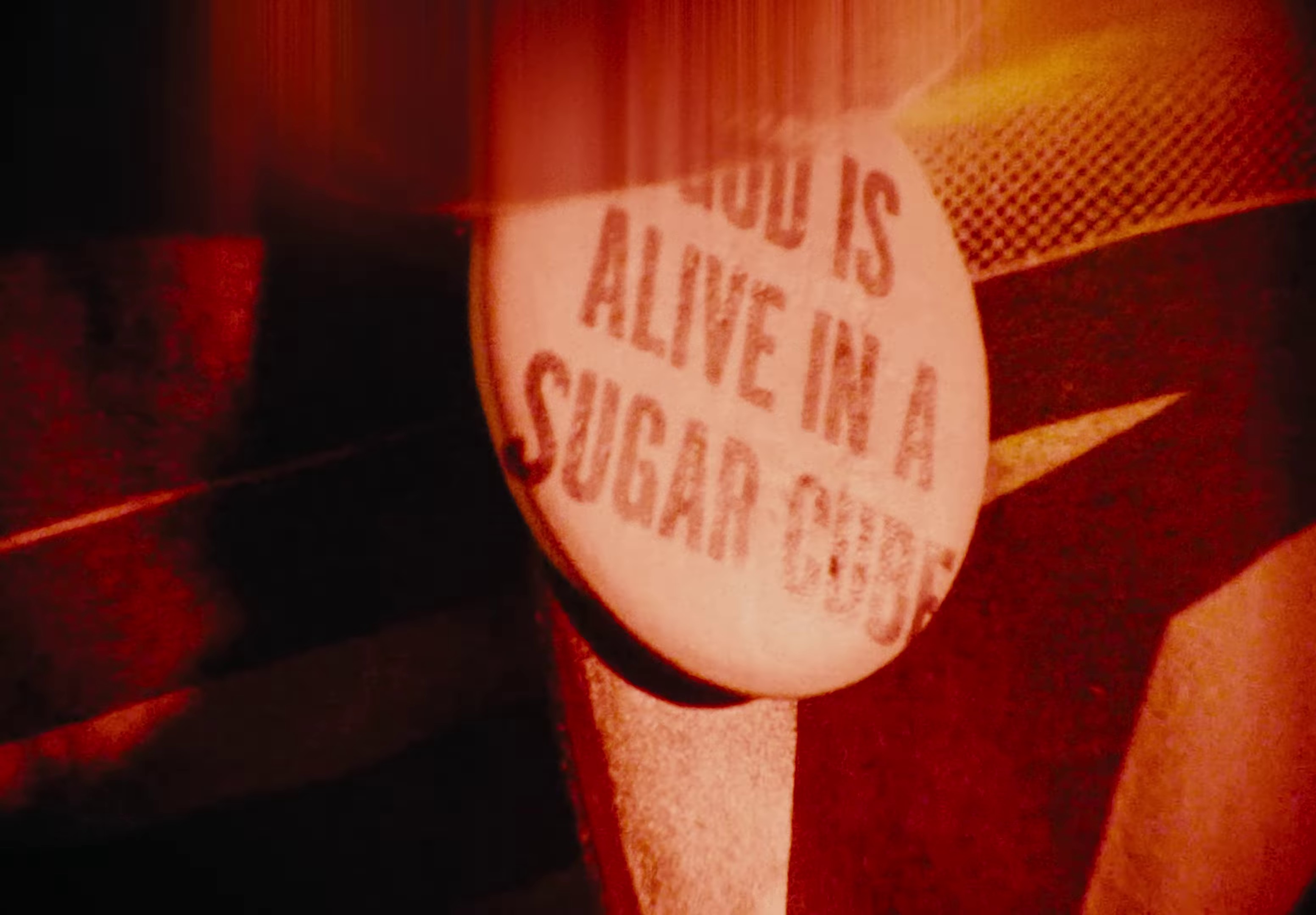 THREE HEADS (2022) —  shot,  lighting