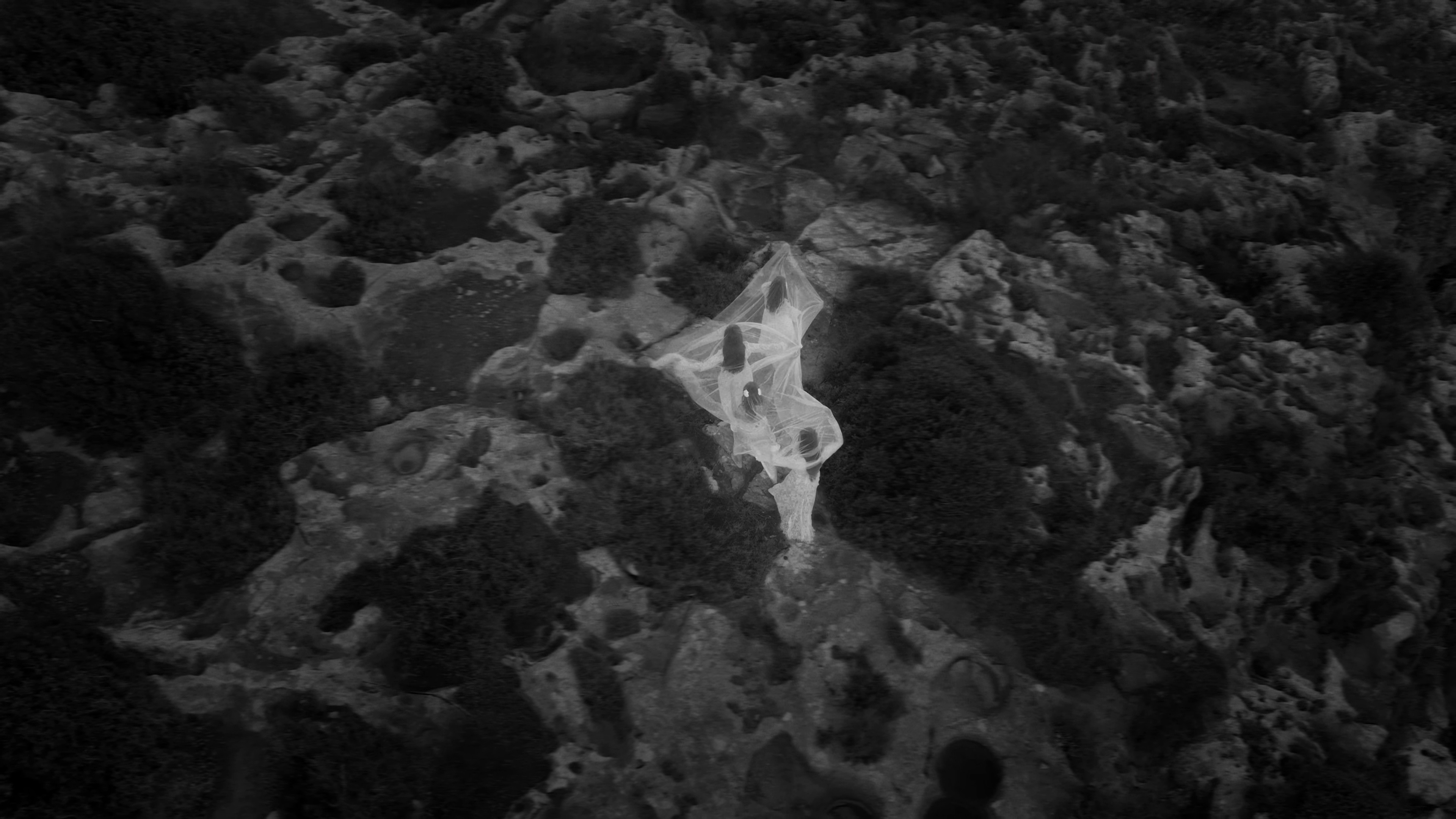 Mermaid Life (2026) —  shot,  lighting