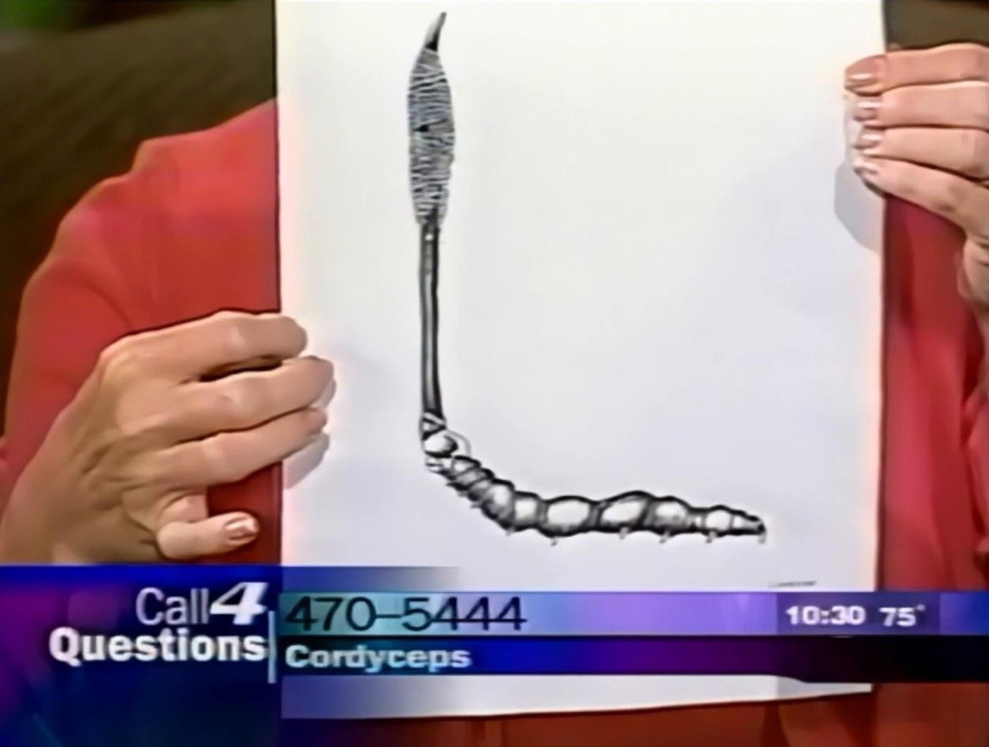 Invention (2025) —  shot,  lighting