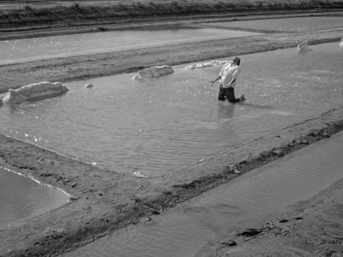 Fandangô de Carmen Porter (2020) —  shot,  lighting