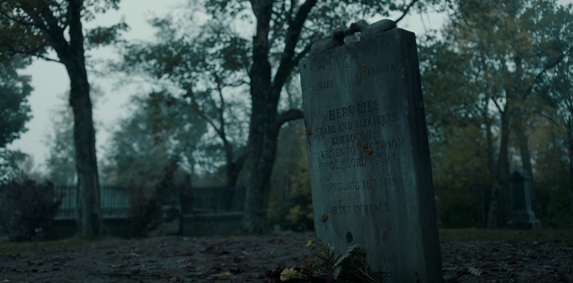 Legacy of Madness (2021) —  shot,  lighting