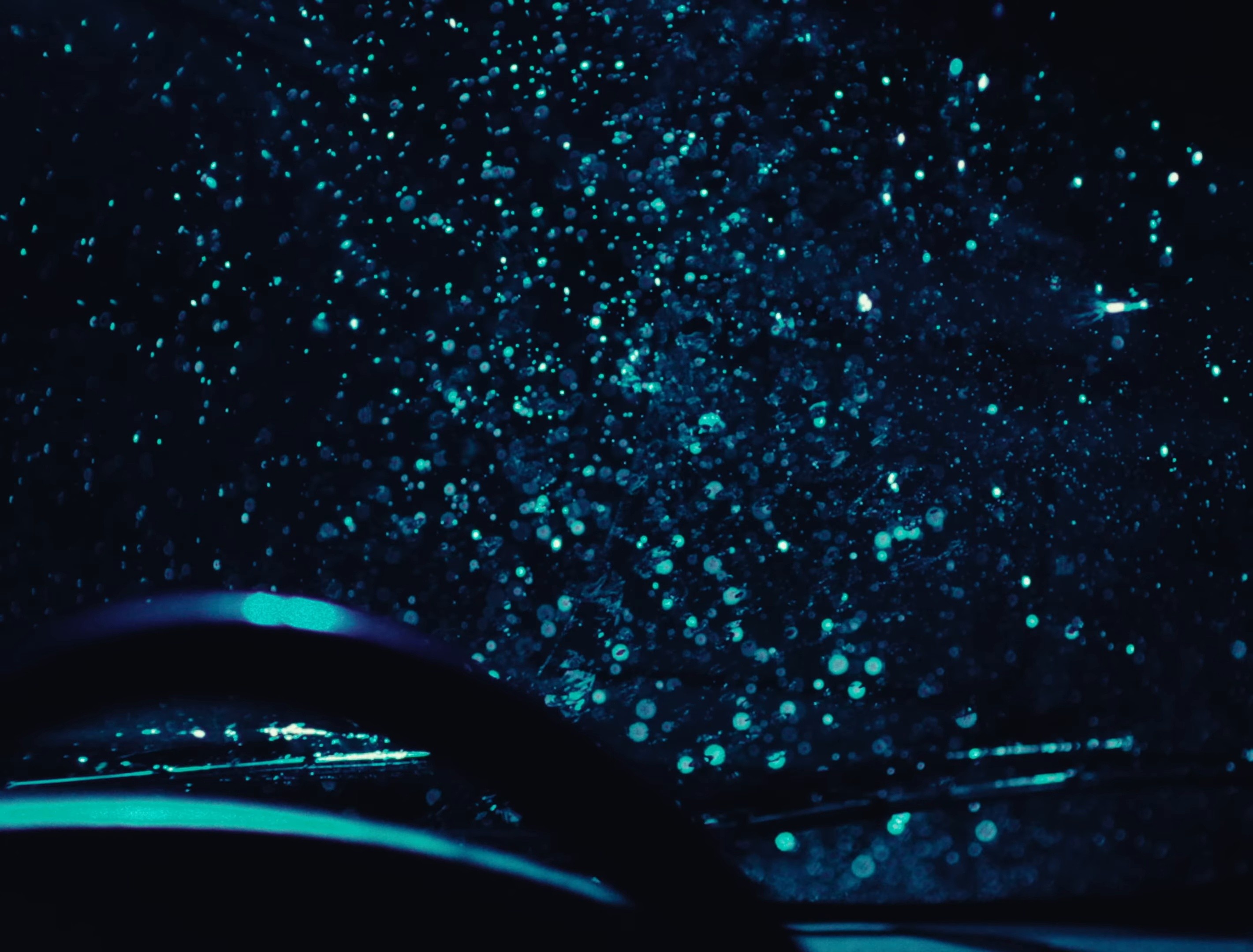 iMelrose (2024) —  shot,  lighting