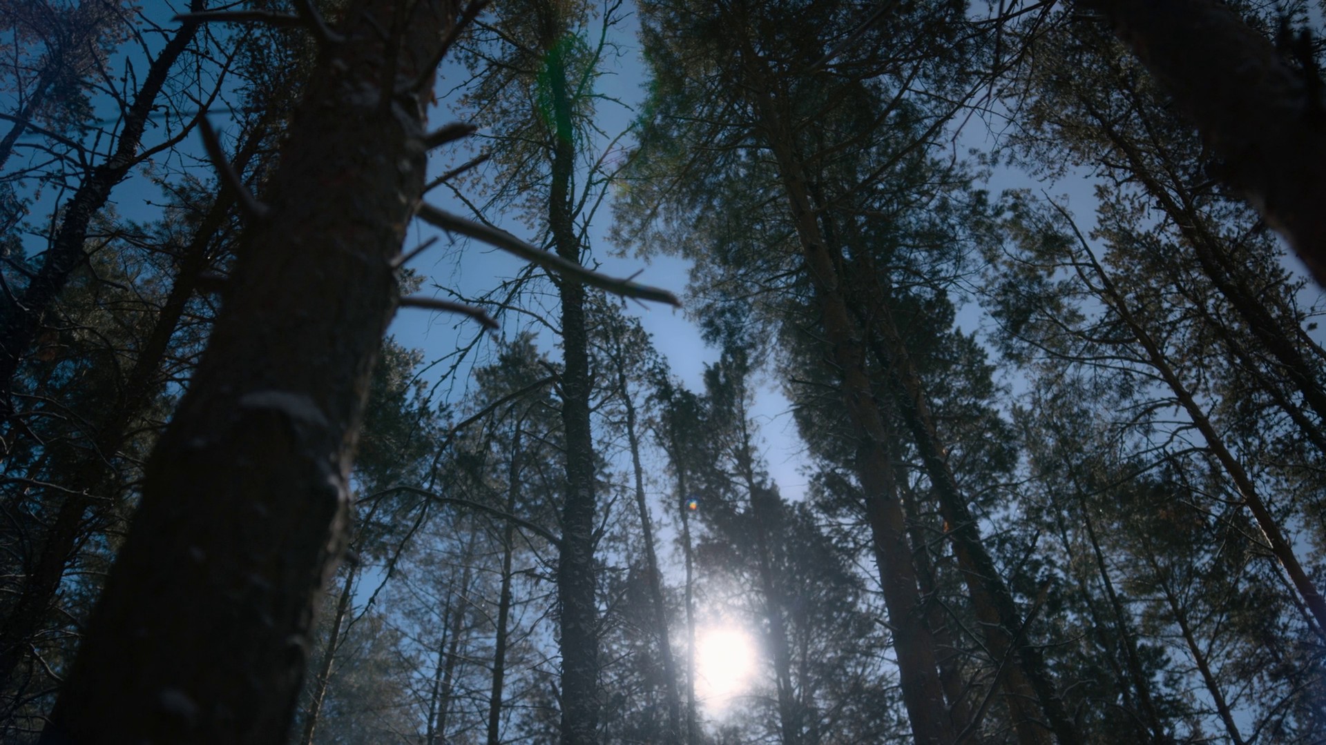 Transpose (2020) —  shot,  lighting