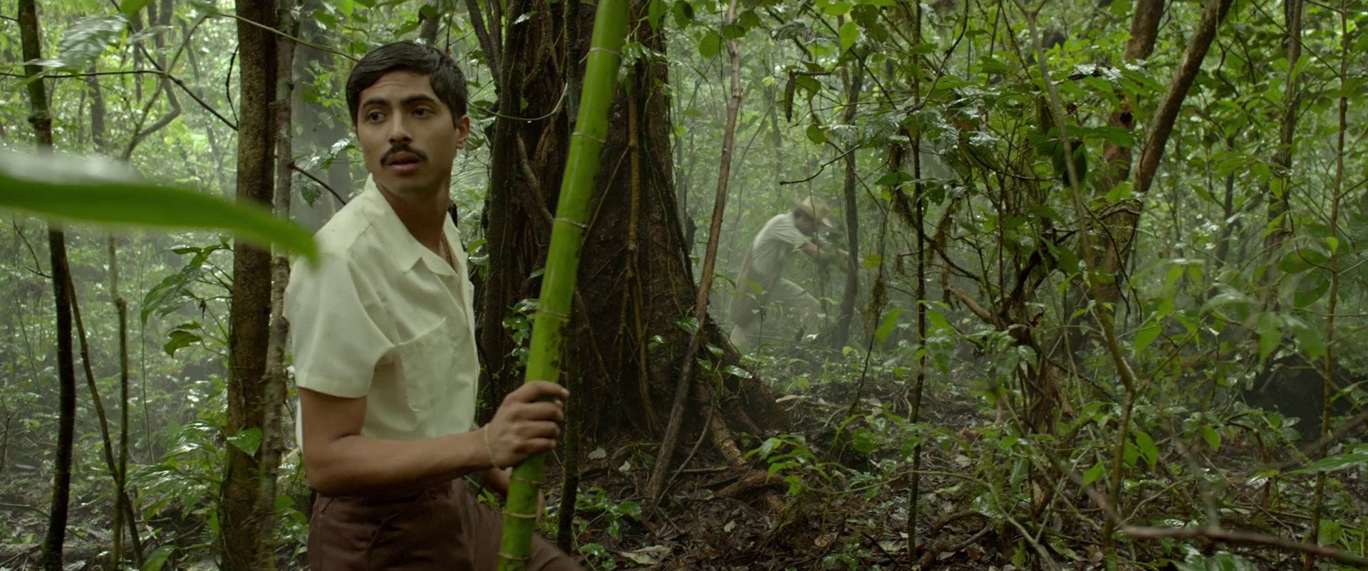 I Dream in Another Language (2018) —  shot,  lighting