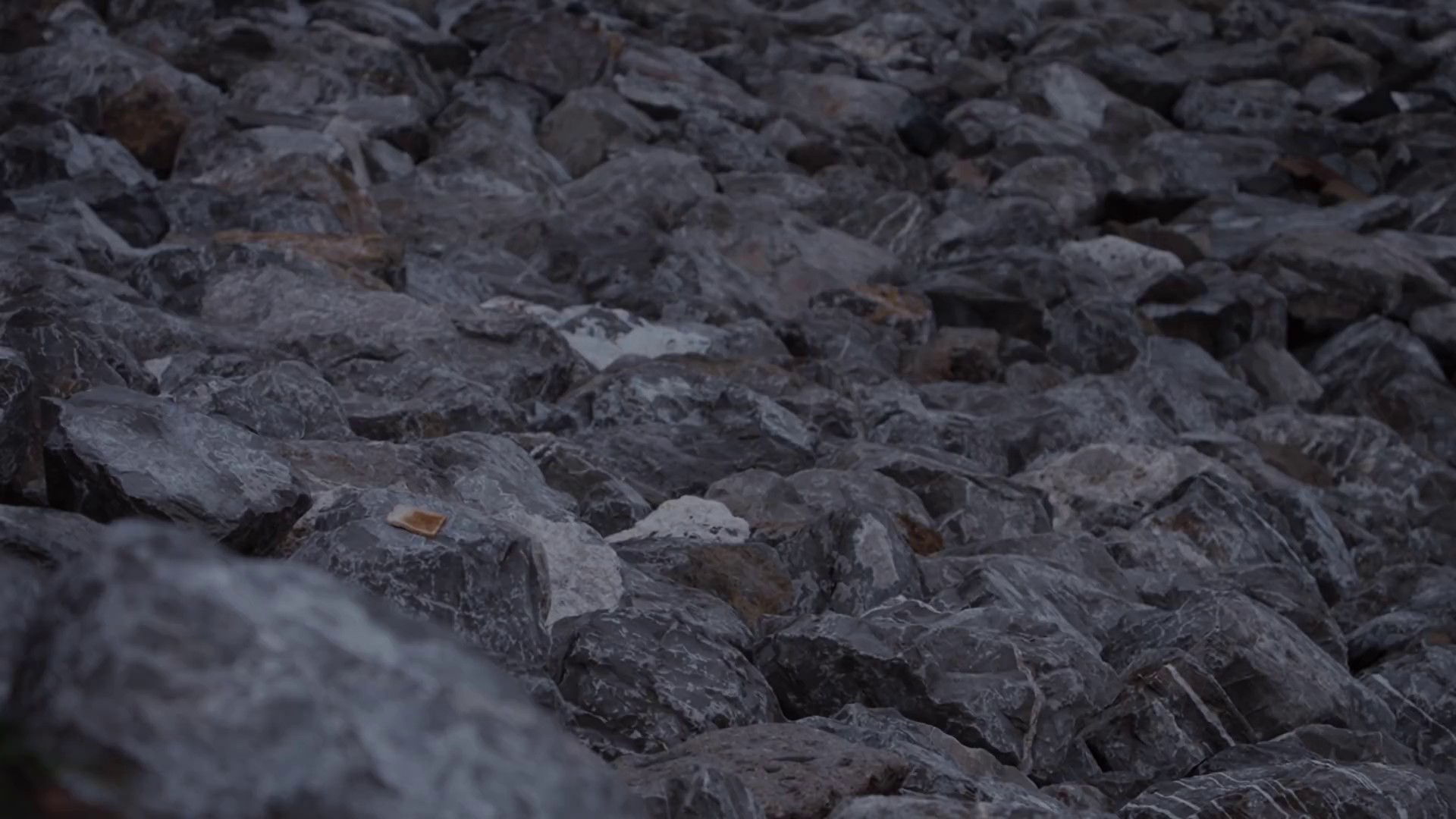 Corner Of My Sky (2020) —  shot,  lighting