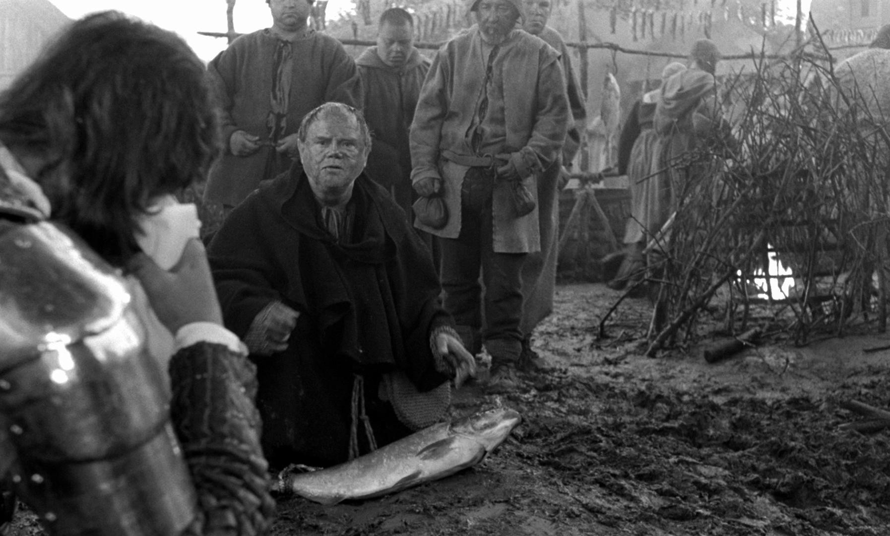 Hard to Be a God (2015) —  shot,  lighting