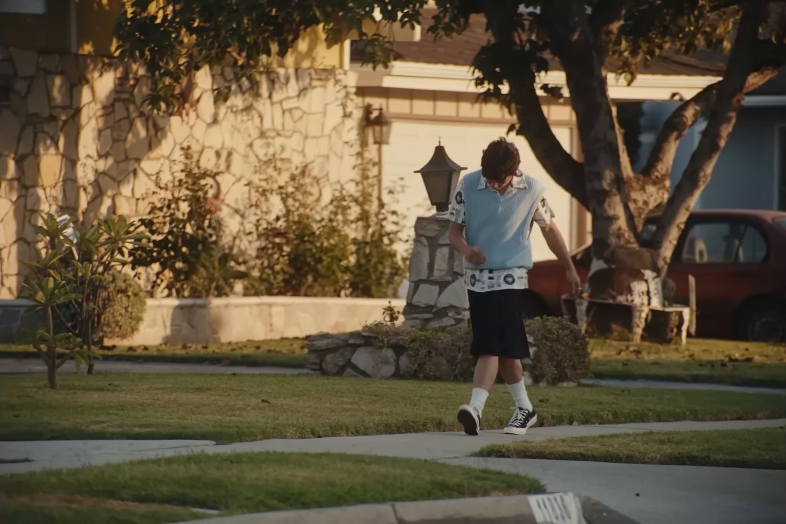 Fuzzy Feeling (2024) —  shot,  lighting