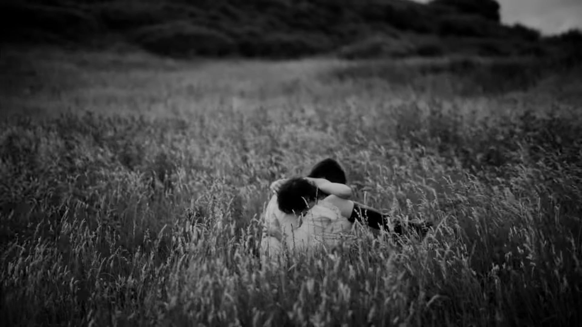 Koalas (2024) —  shot,  lighting