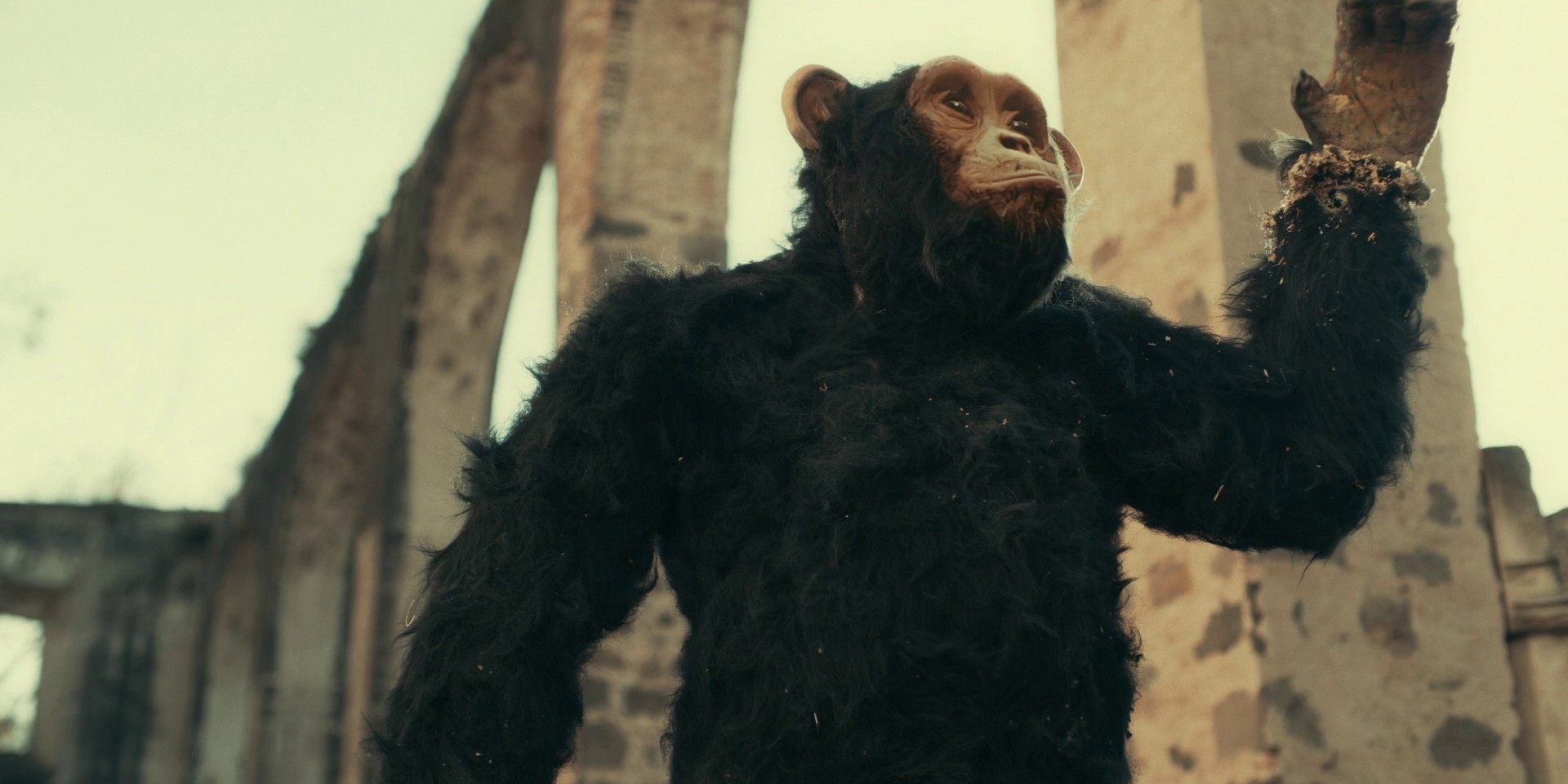 Bus Stop (2021) —  shot,  lighting