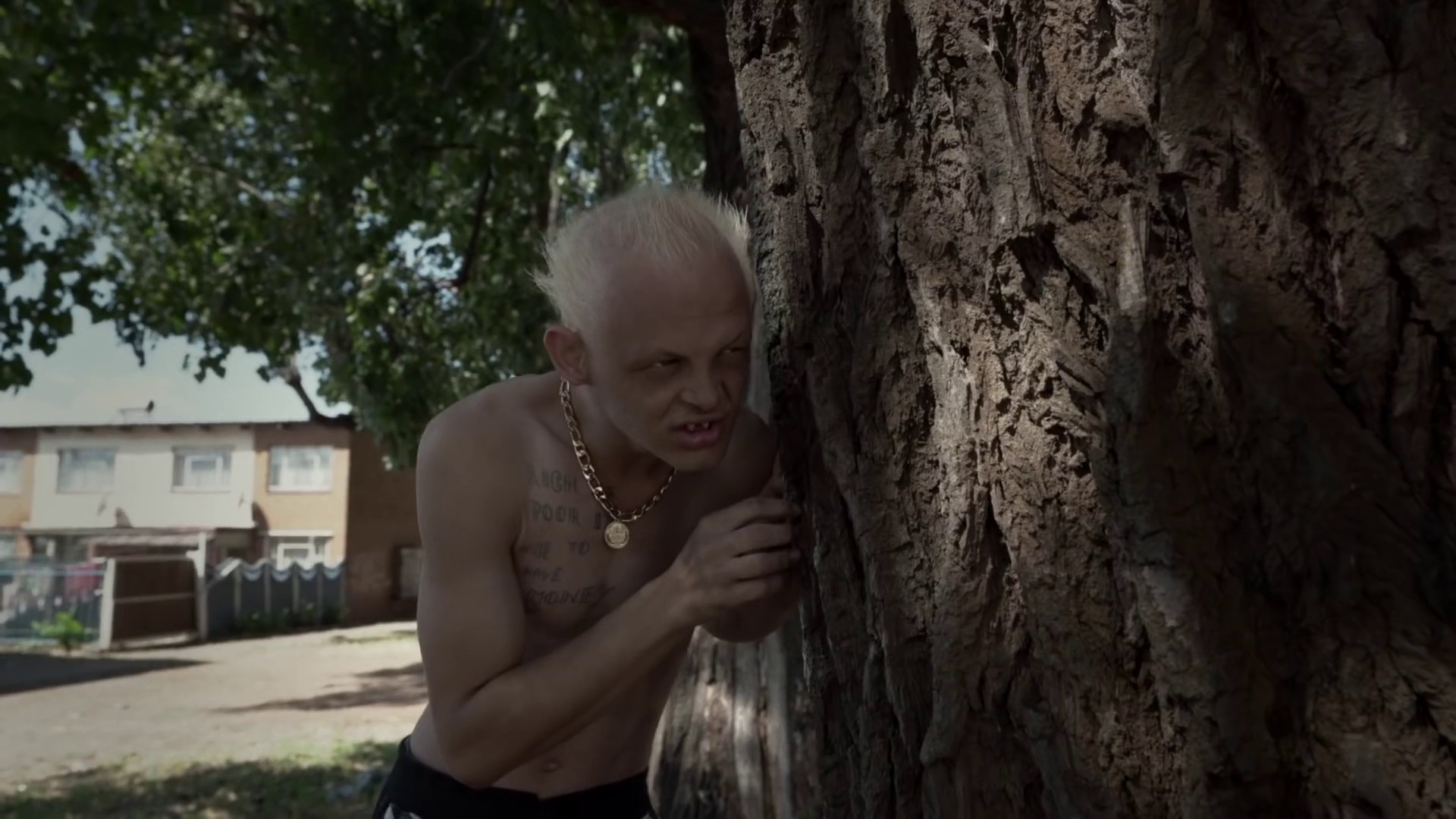 DntTakeMe4aPoes (2021) —  shot,  lighting