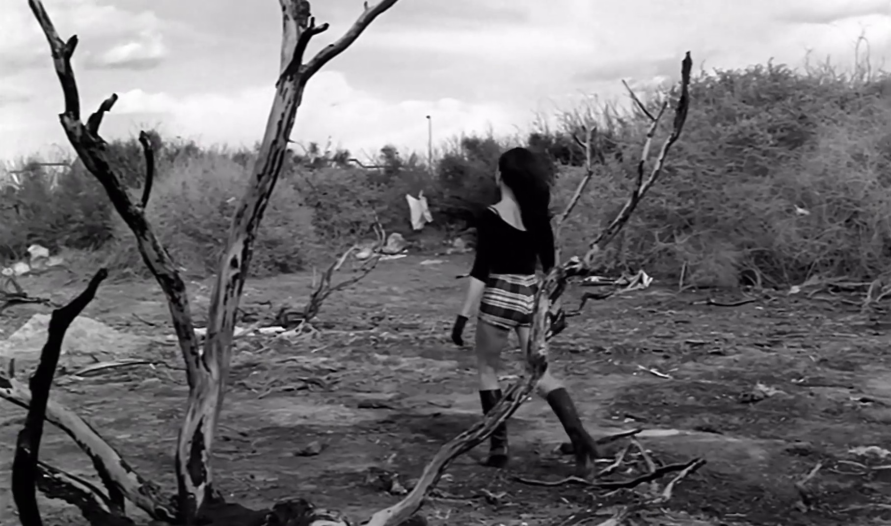 All These Things That I've Done (2009) —  shot,  lighting