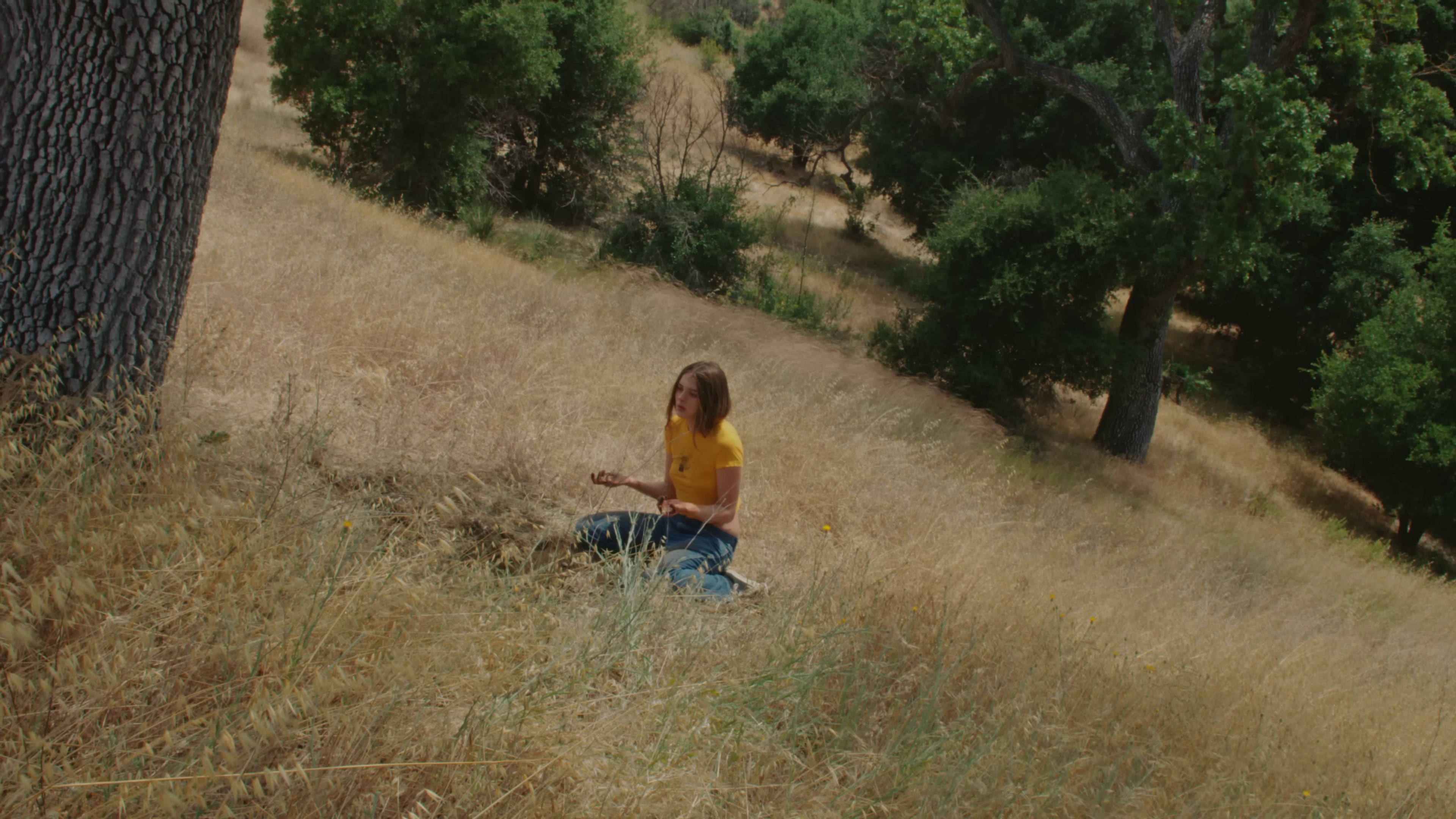 I Don't Wanna Dance (2024) —  shot,  lighting