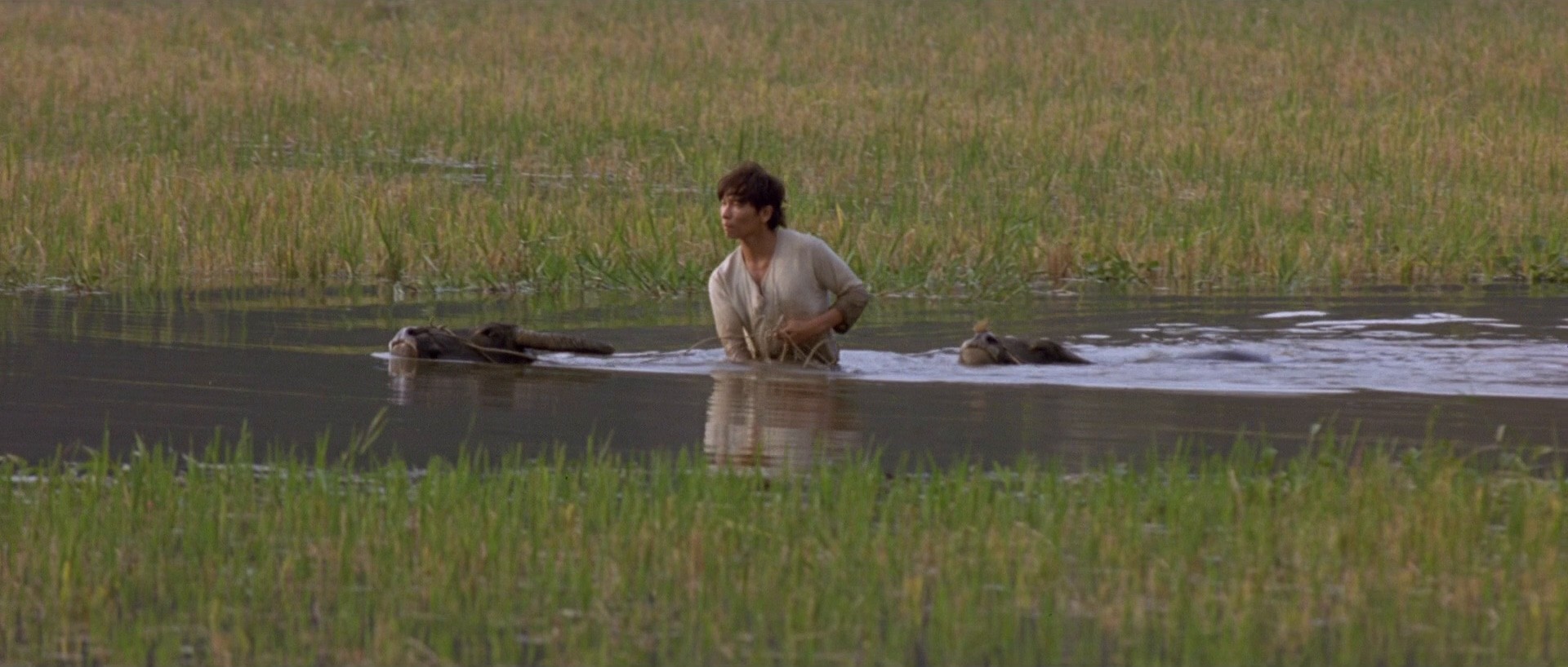 The Beautiful Country (2004) —  shot,  lighting