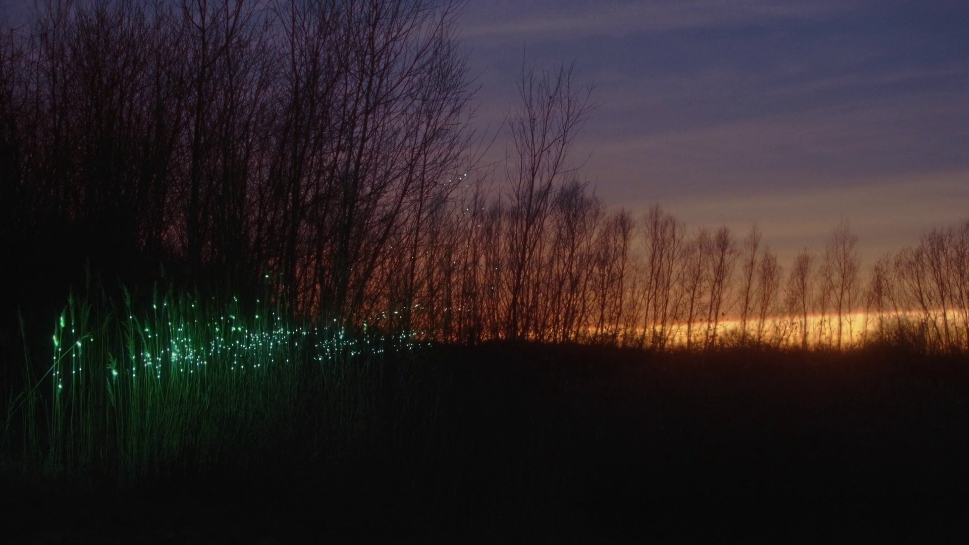 What Holds (2022) —  shot,  lighting