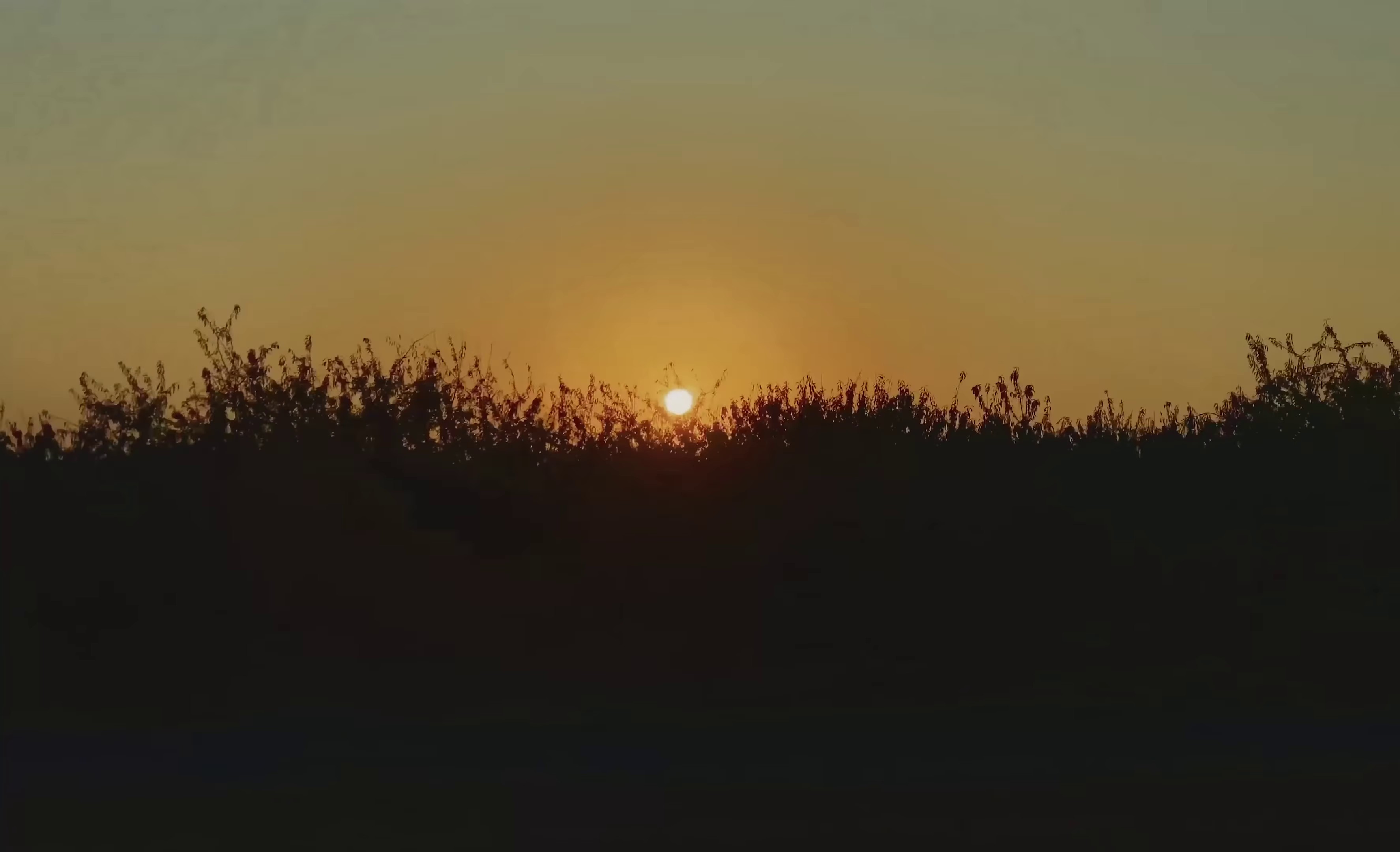 Déjà Vu (2022) —  shot,  lighting