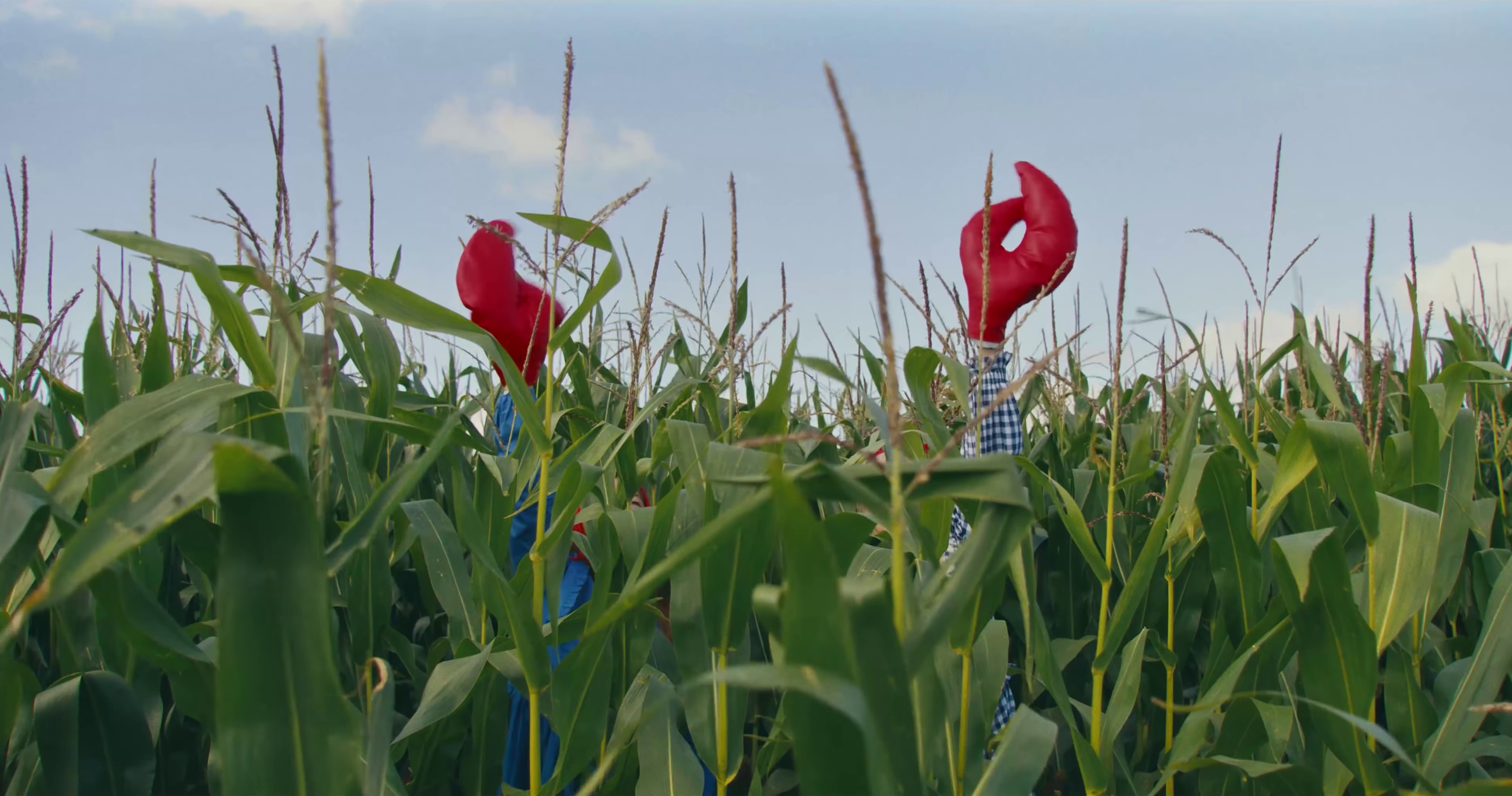 Wet Dream (2021) —  shot,  lighting