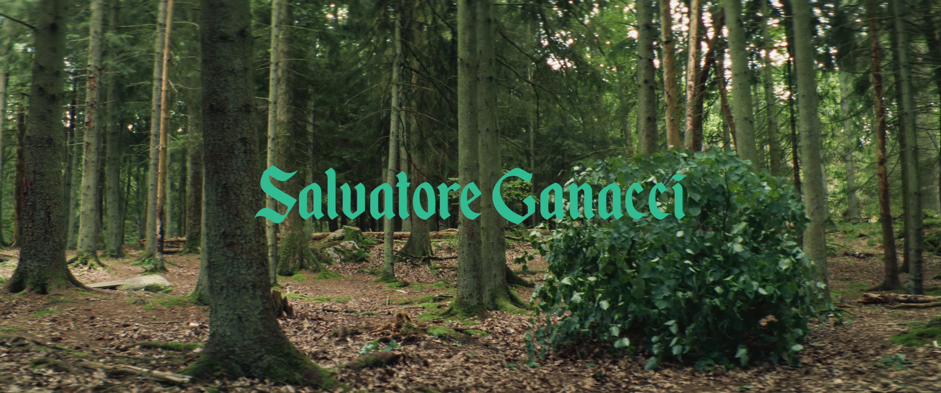 Step-Grandma (2021) —  shot,  lighting