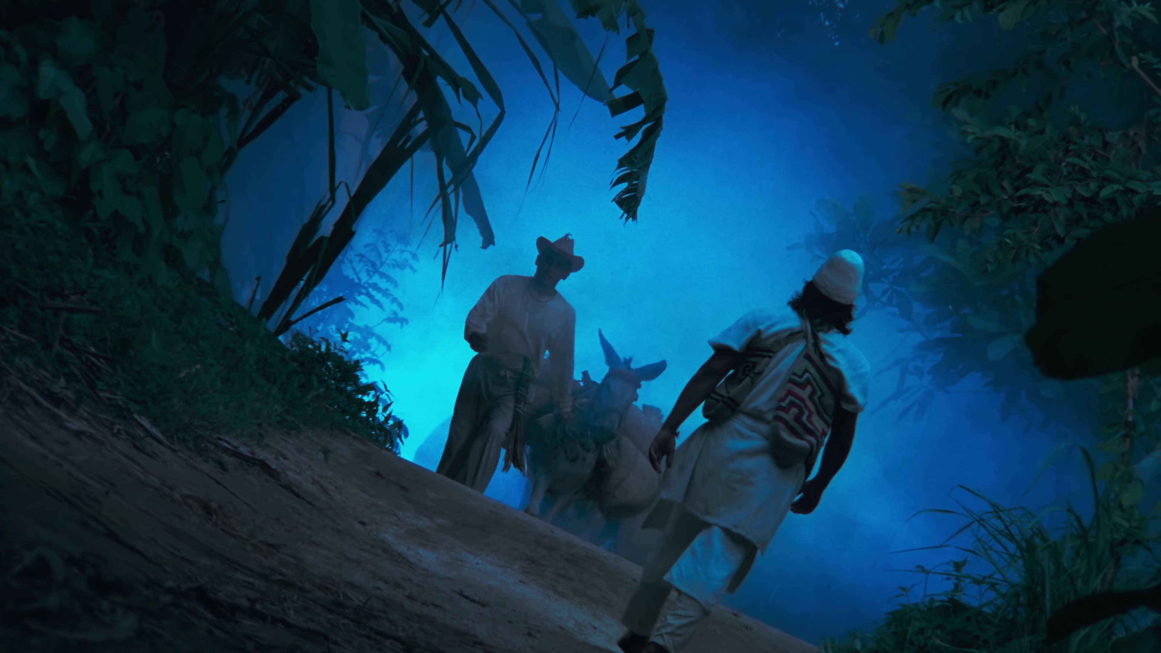 La Tierra del Olvido (2015) —  shot,  lighting