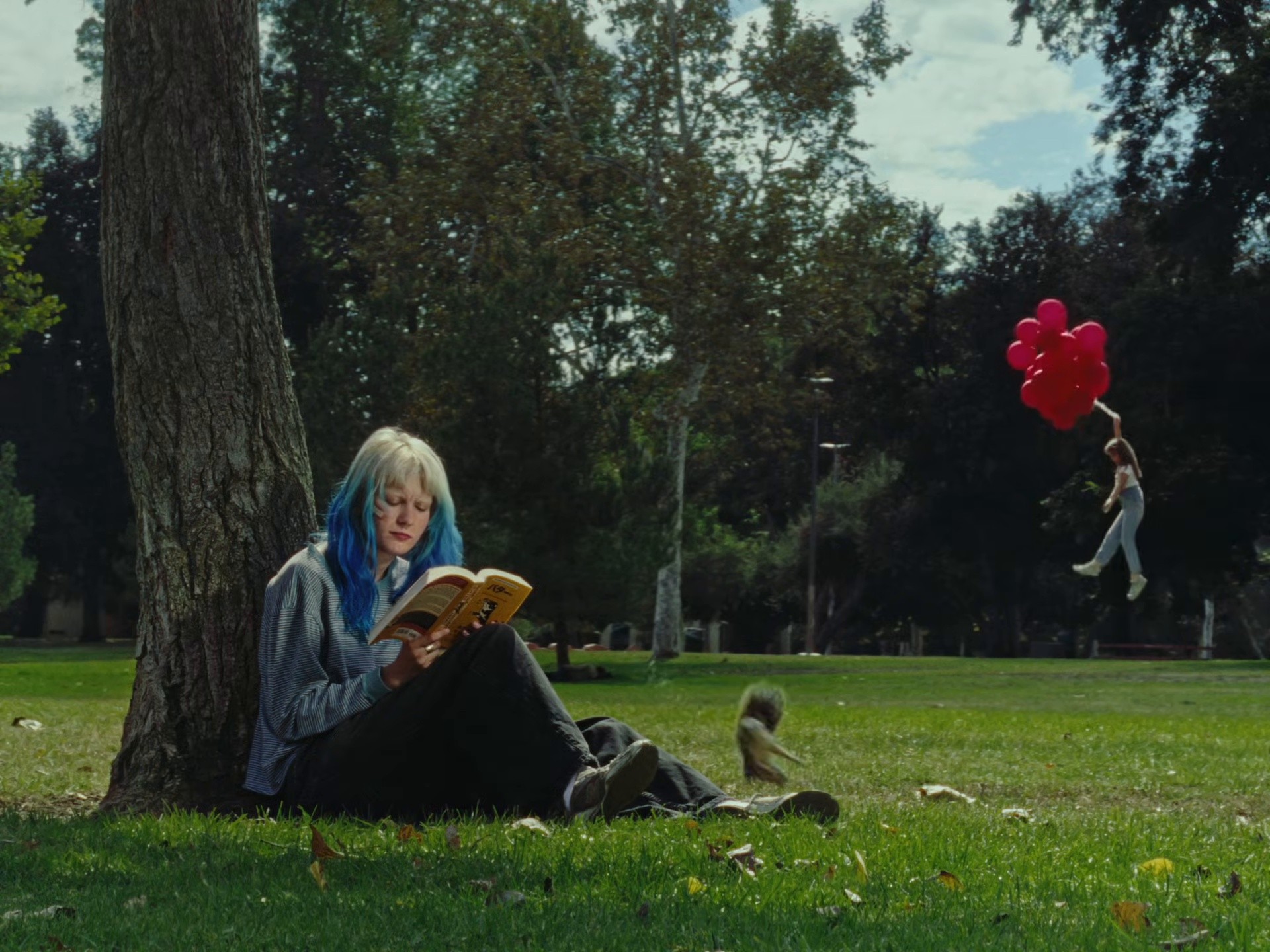 cherry cola (2025) —  shot,  lighting