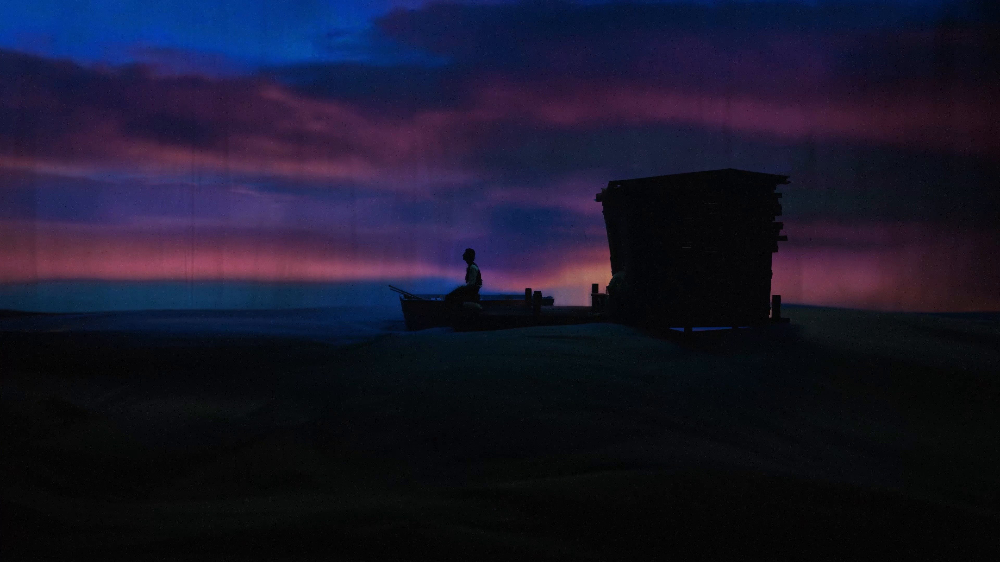 Sunflower (2023) —  shot,  lighting