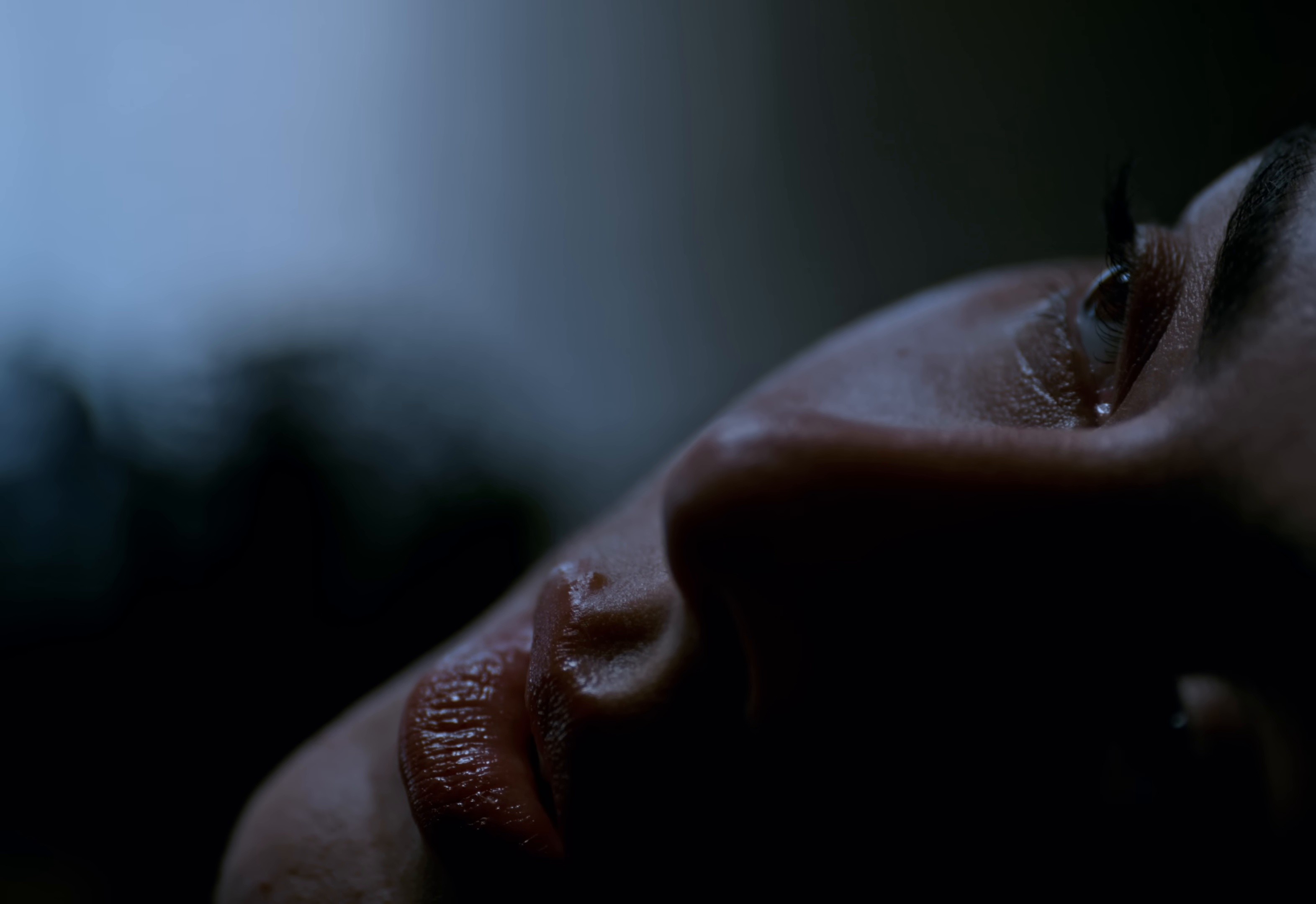 House (2025) —  shot,  lighting