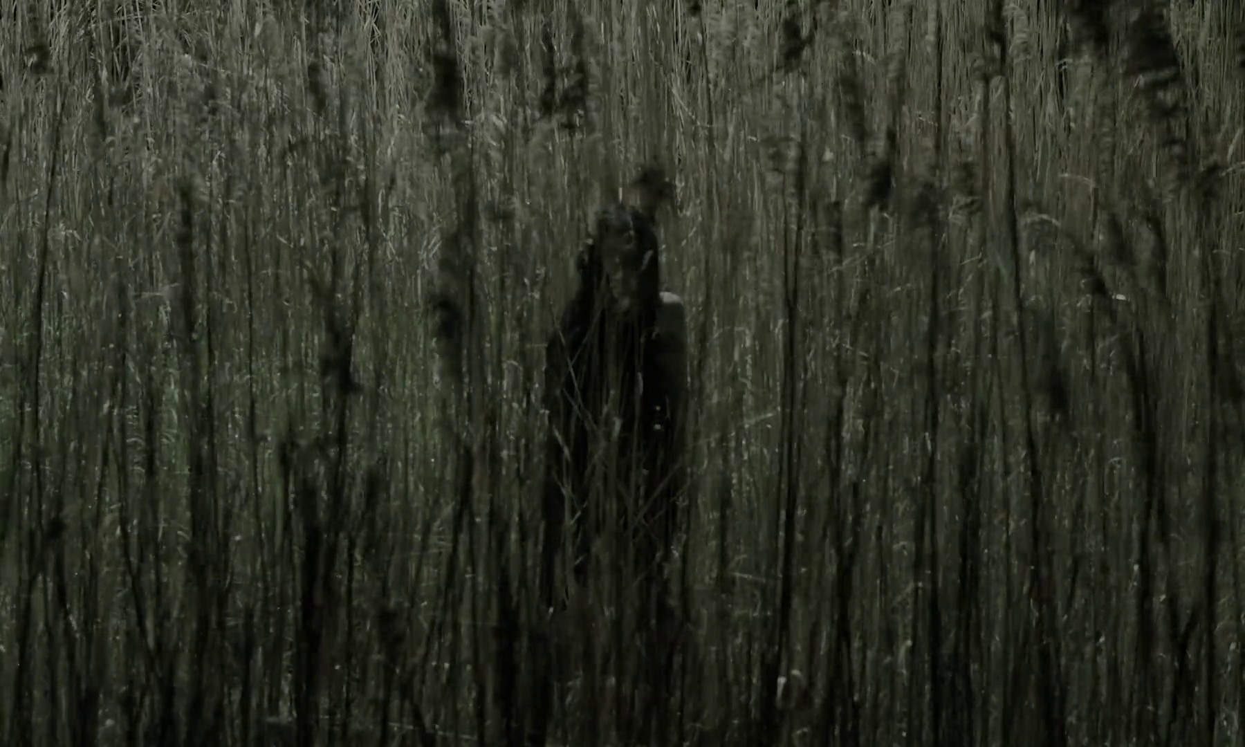 kensshi (2019) —  shot,  lighting