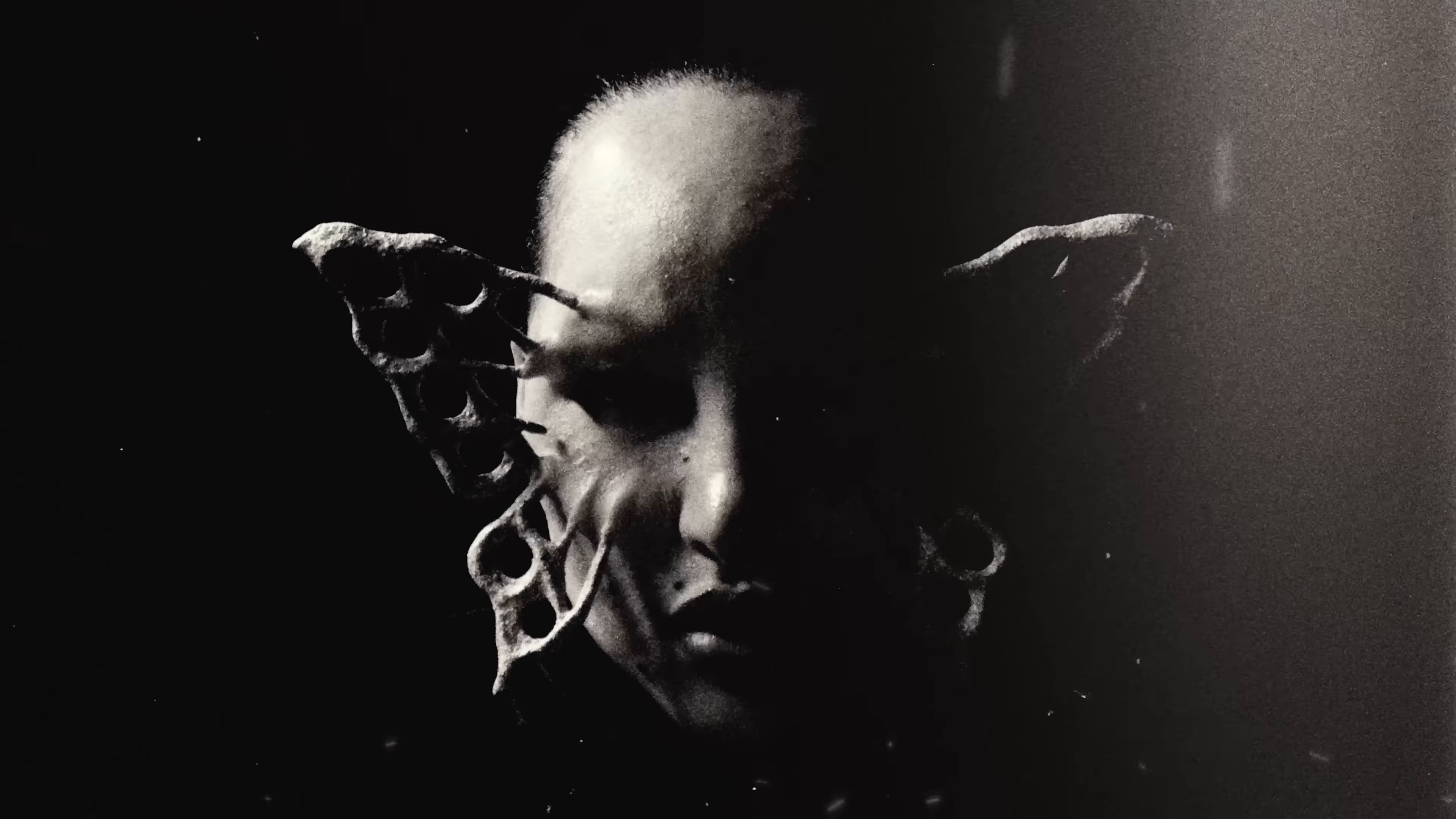 Cold Chords (2025) —  shot,  lighting