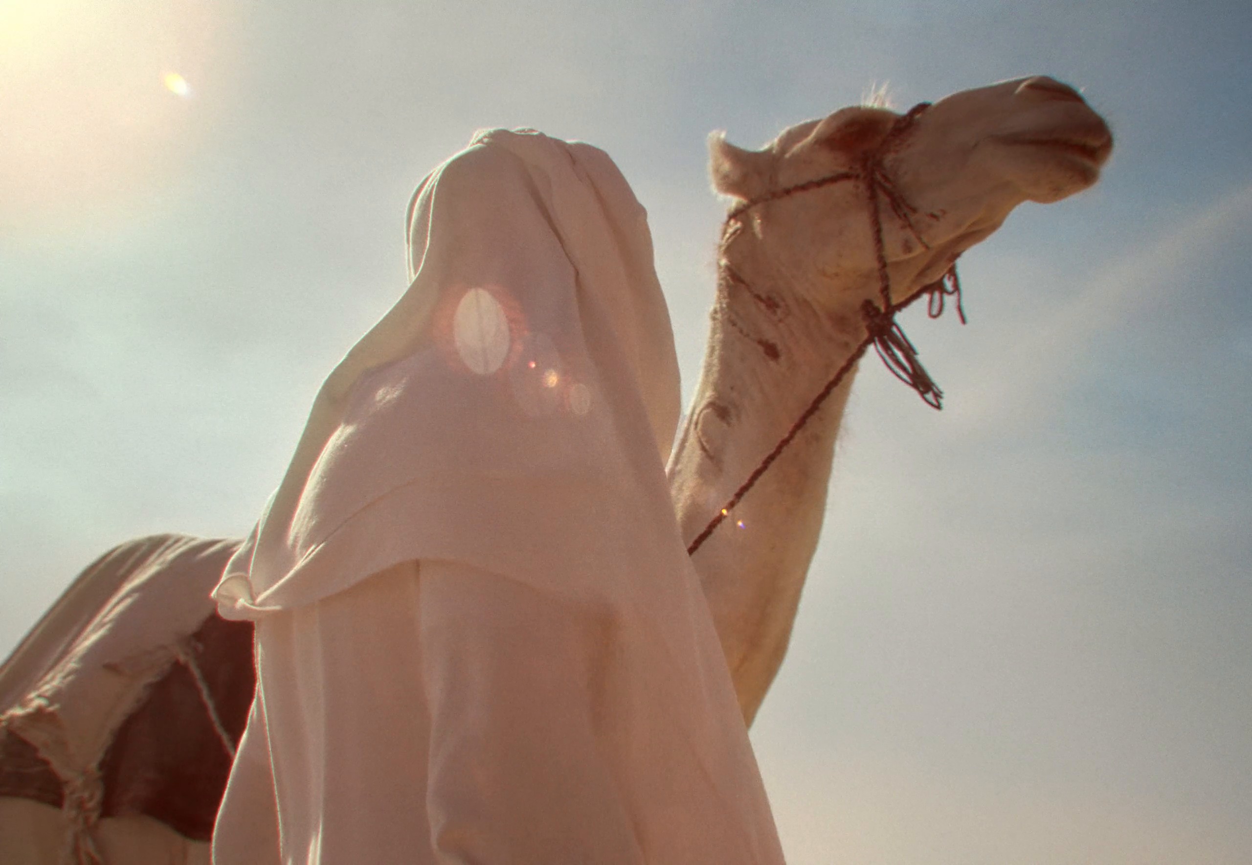 SRSA - More Than Just a Sea | Director's Cut (2024) —  shot,  lighting