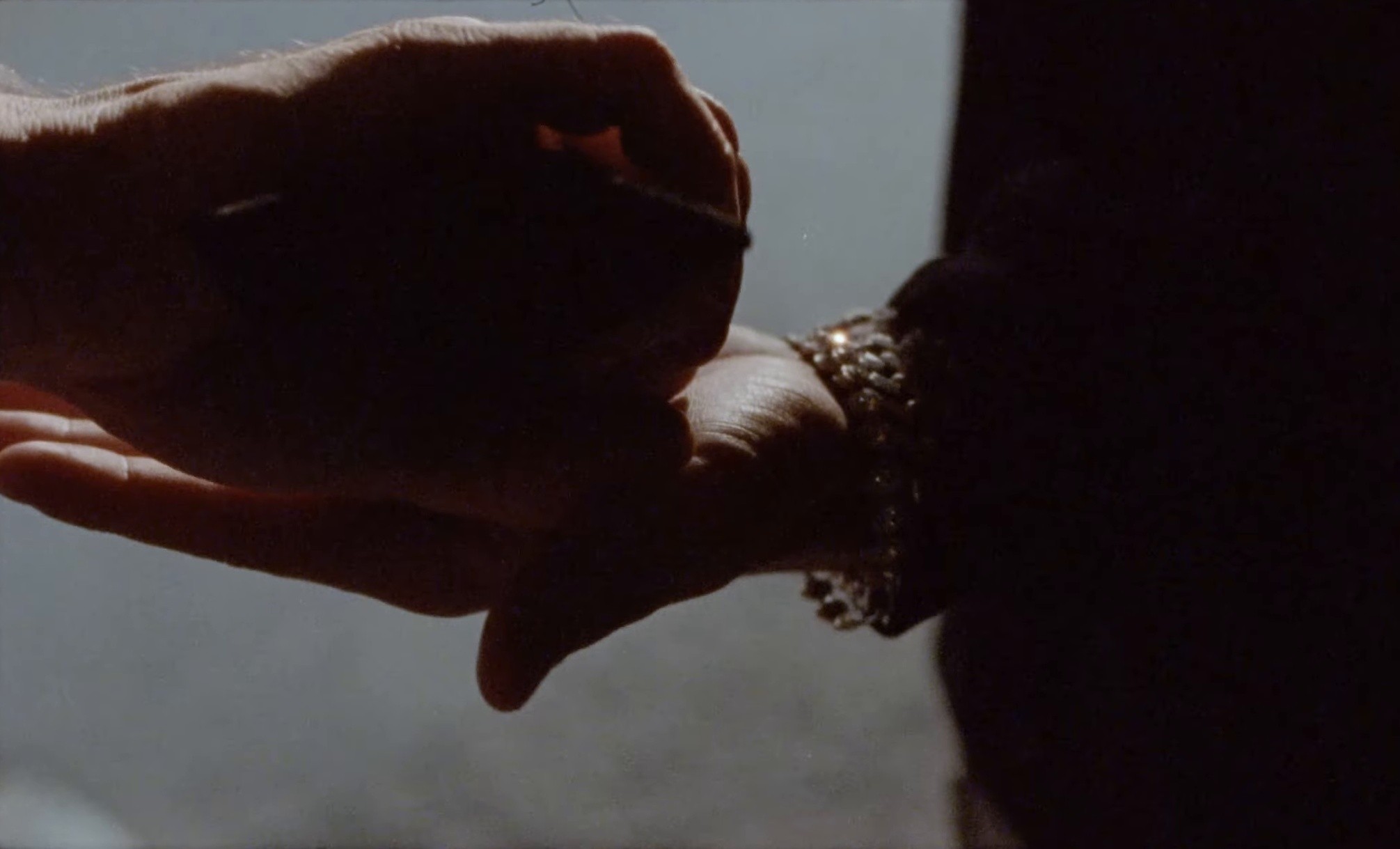 blok123 (2019) —  shot,  lighting