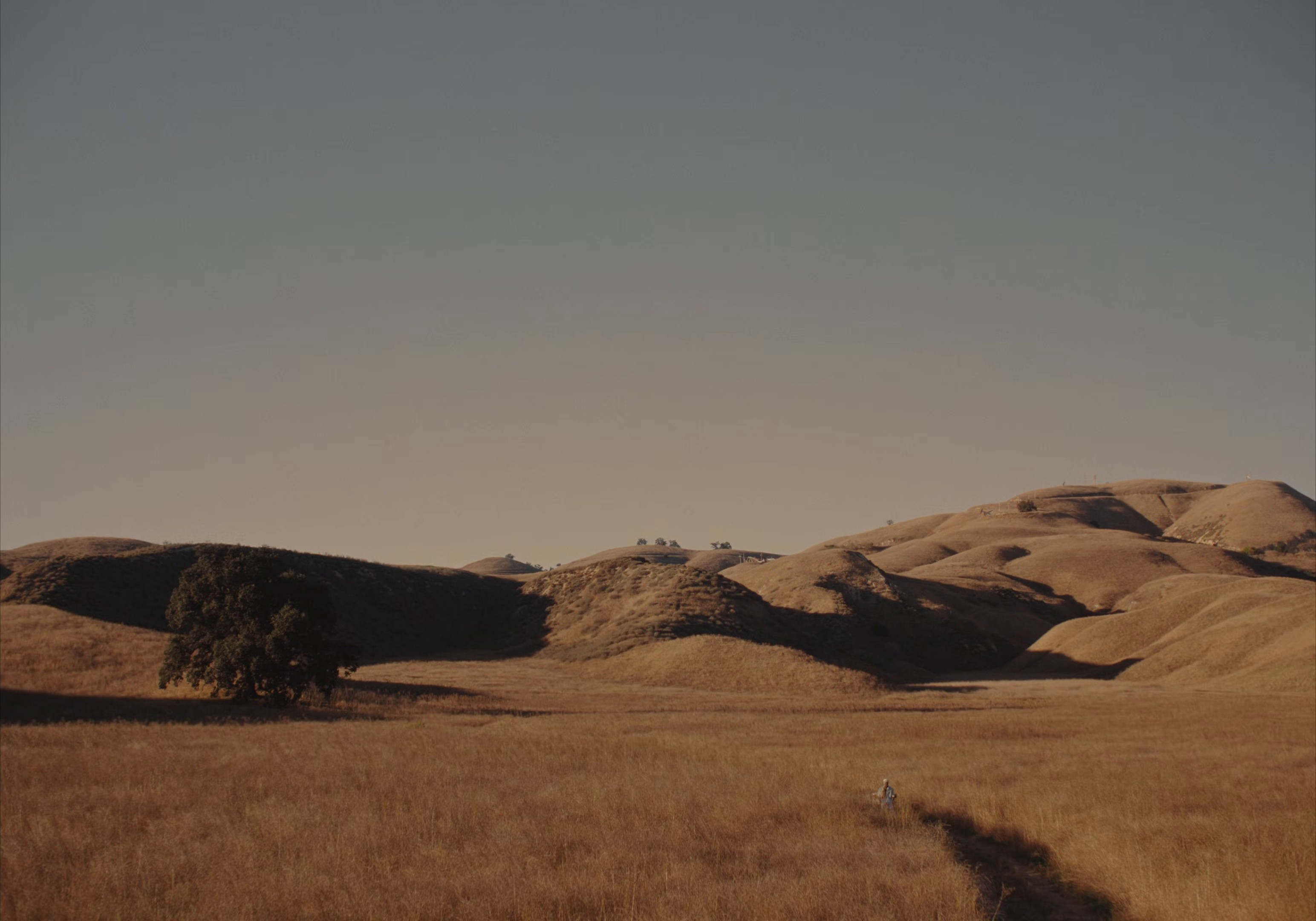 FMT (2025) —  shot,  lighting