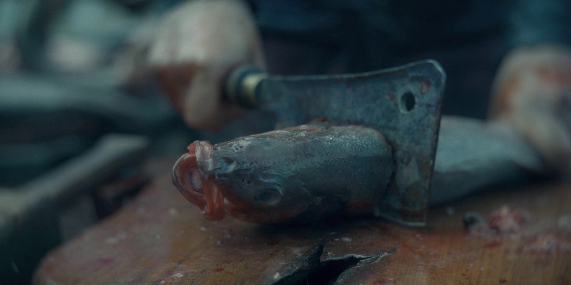 We Light the Way (2022) —  shot,  lighting