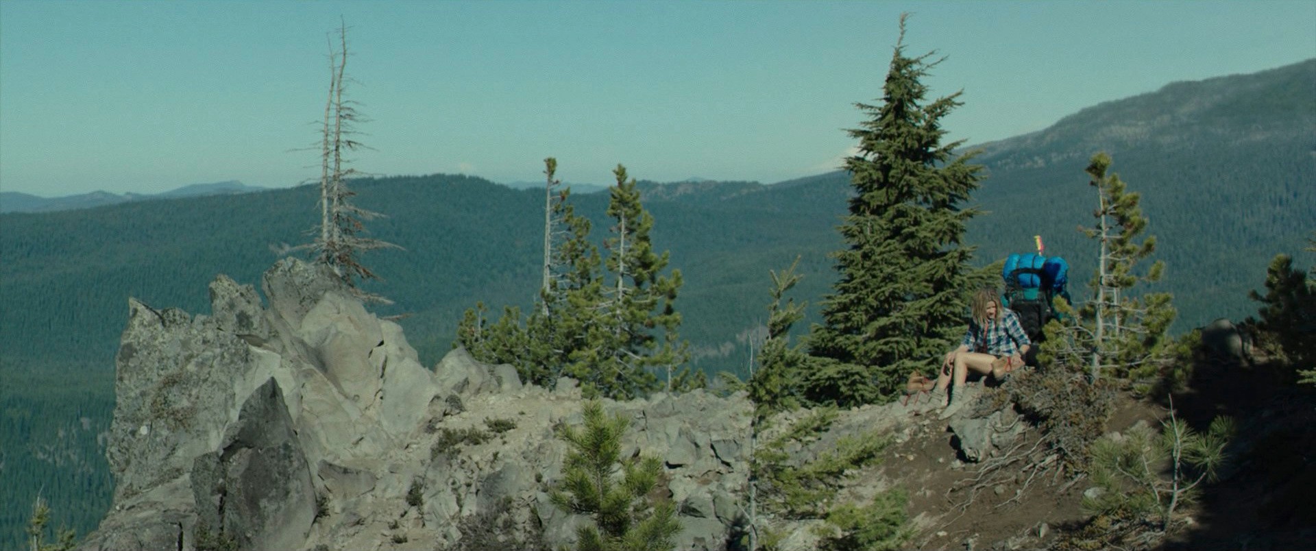 Wild (2014) —  shot,  lighting