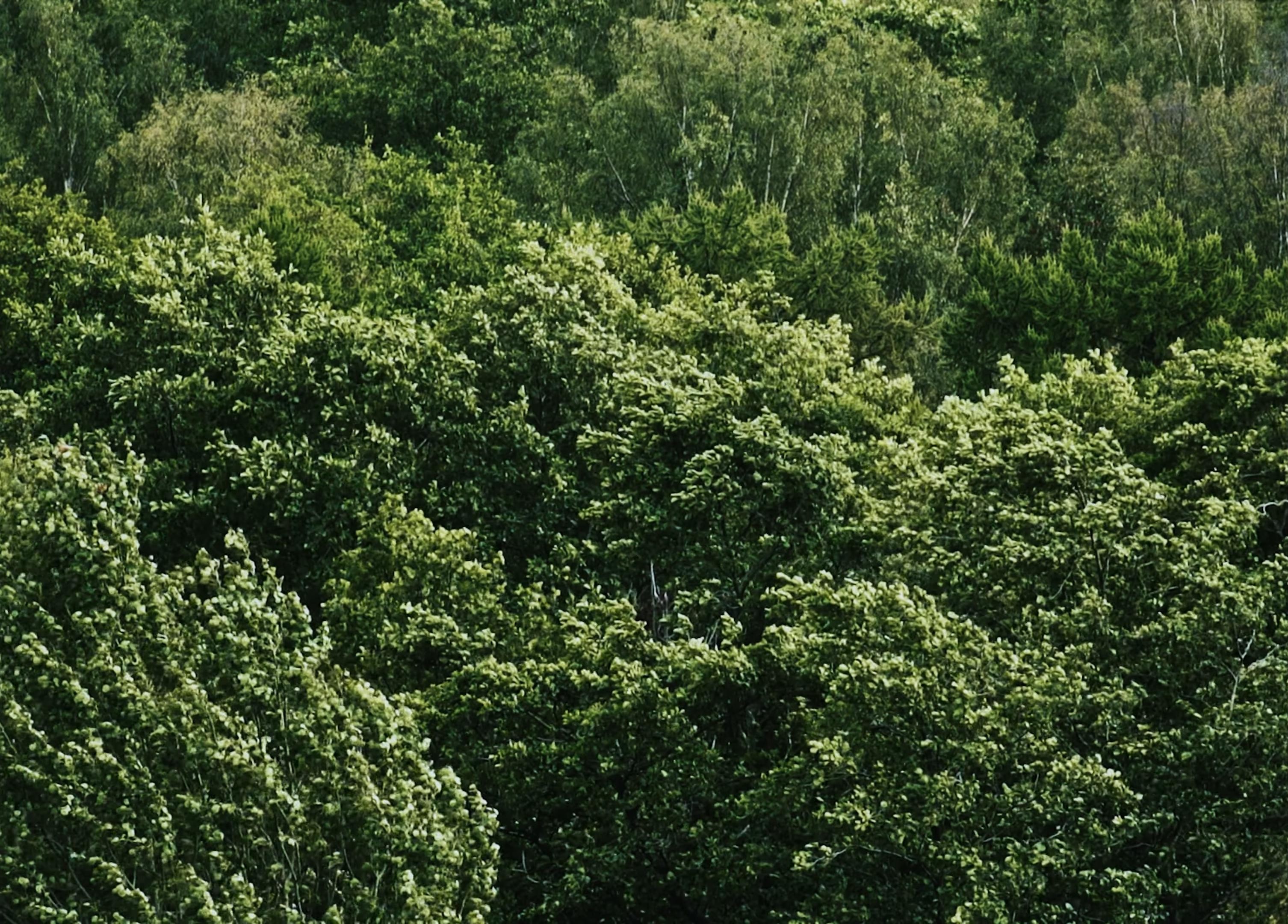 Bol' vernotsya (2025) —  shot,  lighting