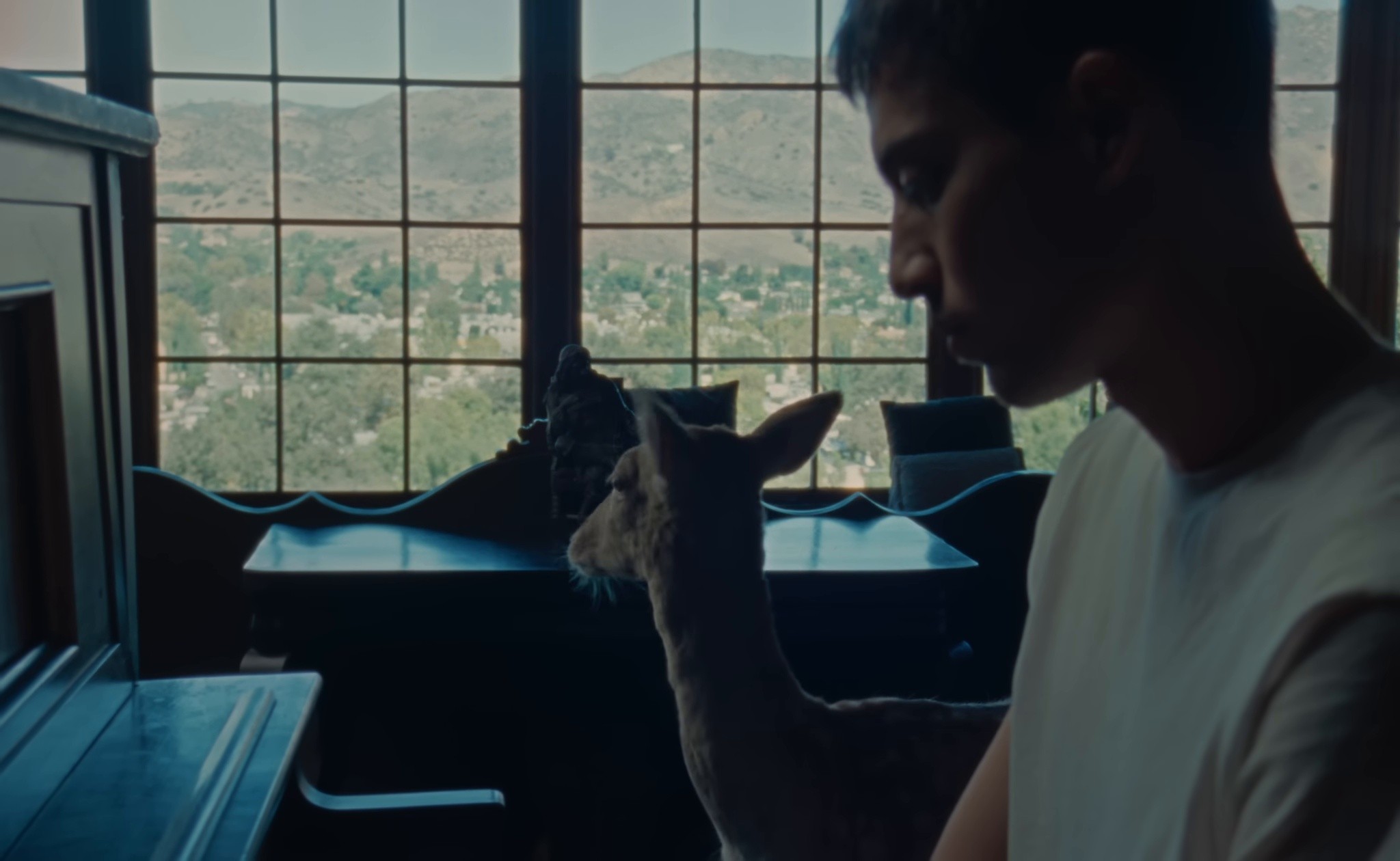 Trophy Hunting (2025) —  shot,  lighting