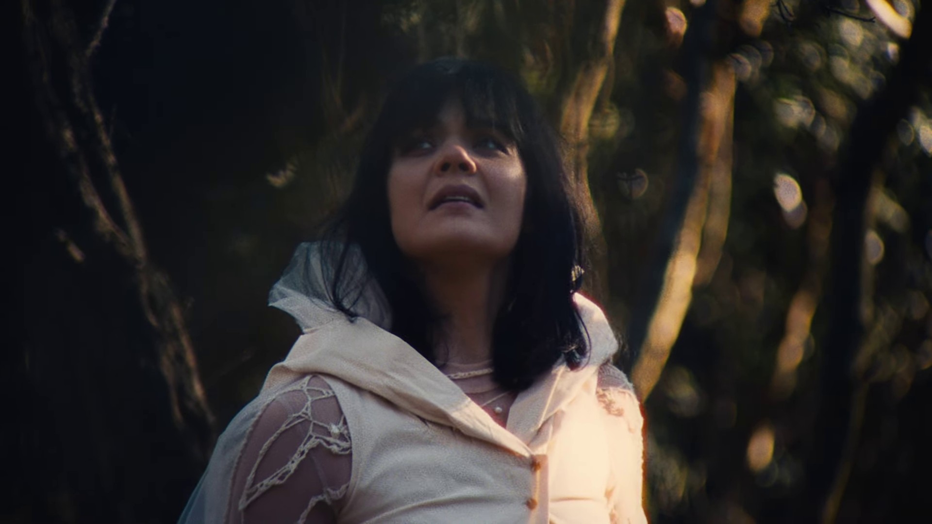 The Dream of Delphi (2024) —  shot,  lighting