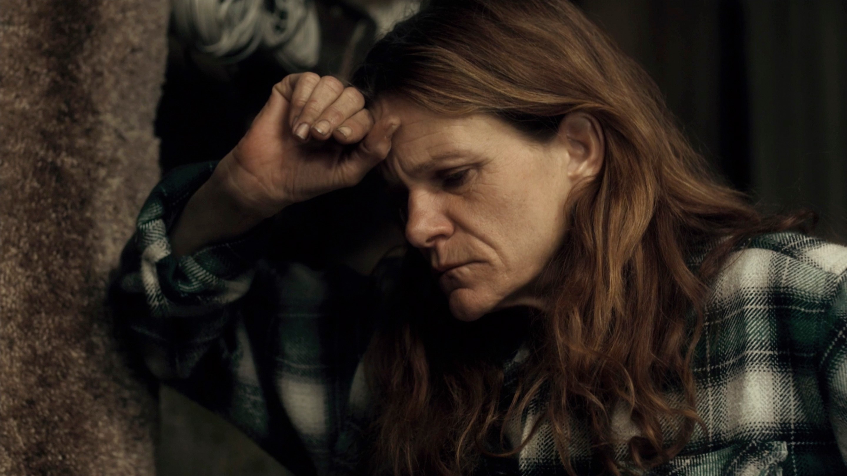 Winter's Bone (2010) —  shot,  lighting