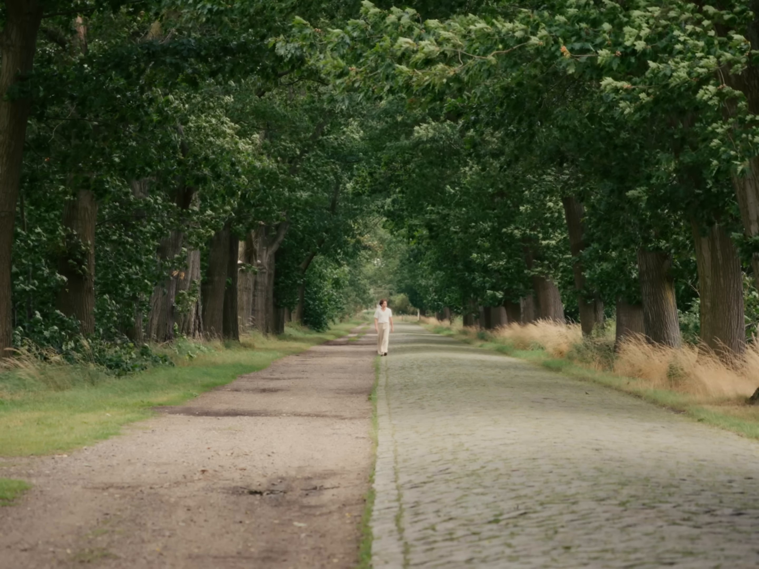 Fallen (2024) —  shot,  lighting