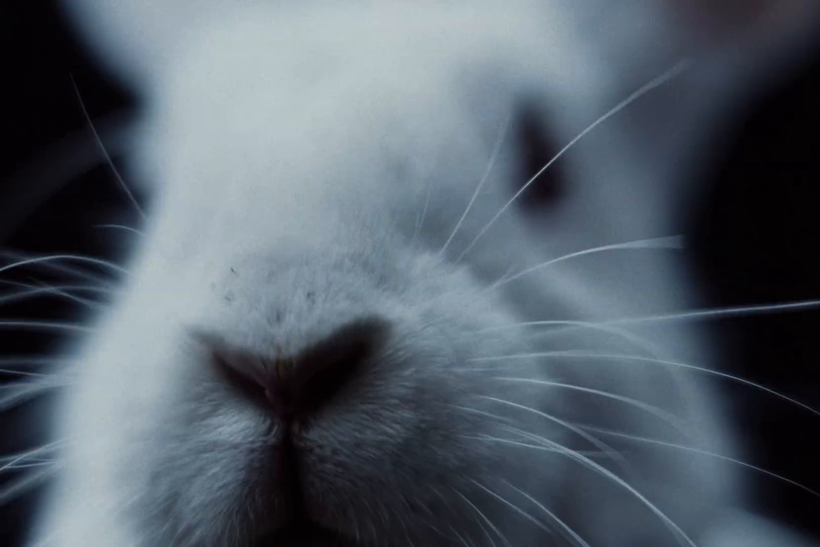 Count The Ways (2025) —  shot,  lighting