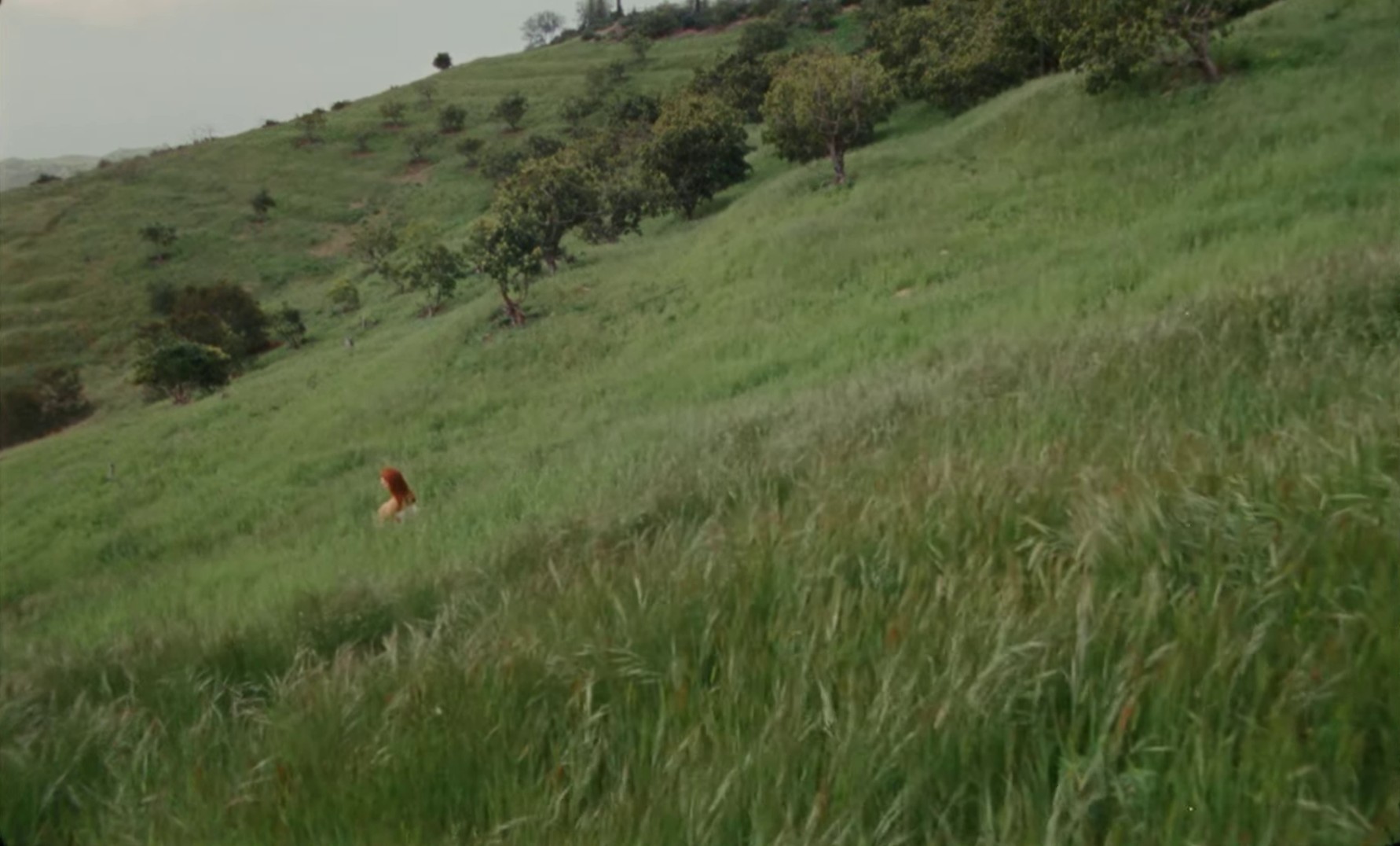 My Day Off (2024) —  shot,  lighting