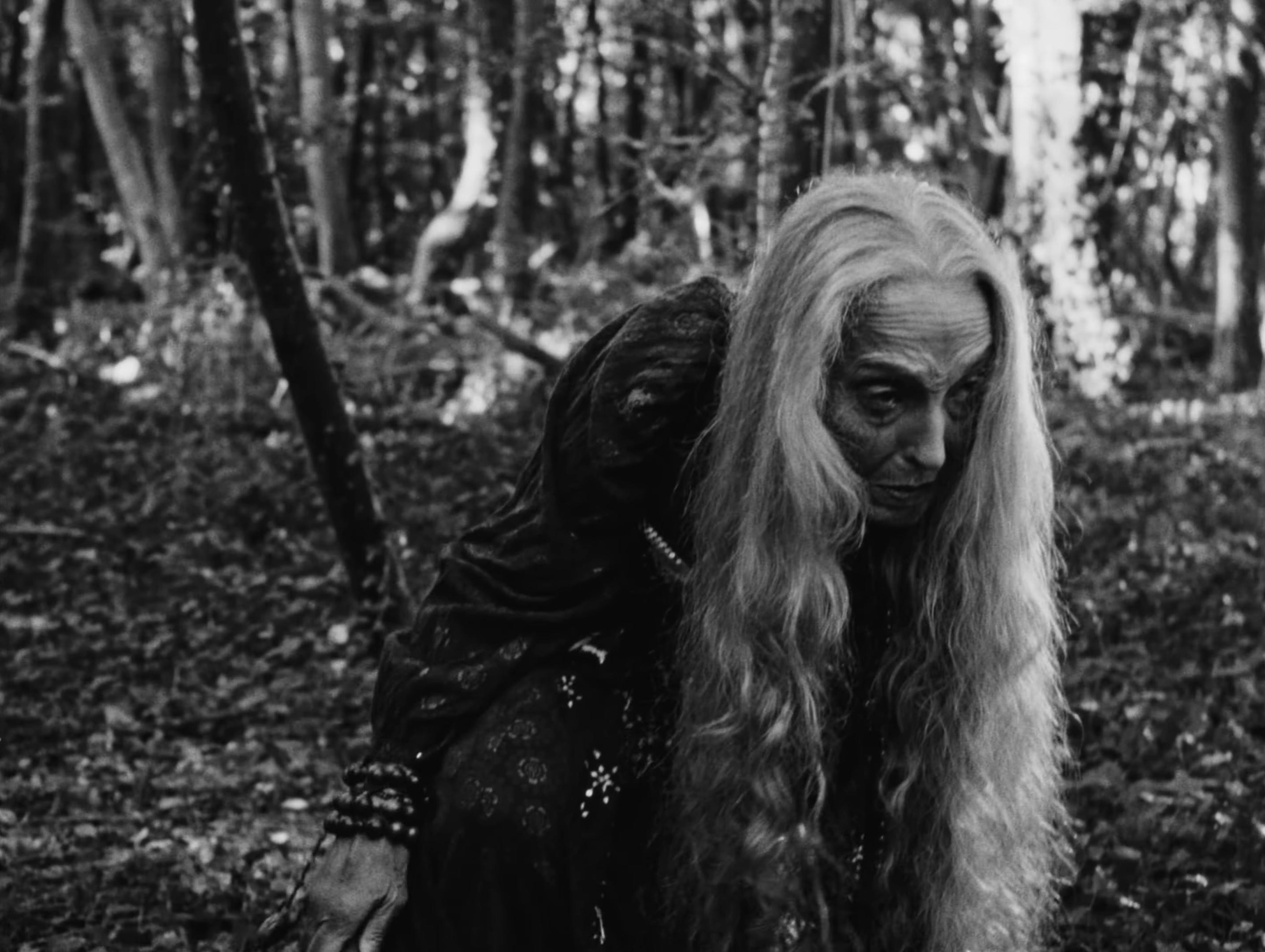 L’EFFORT DE FAIRE PT.1 (2024) —  shot,  lighting