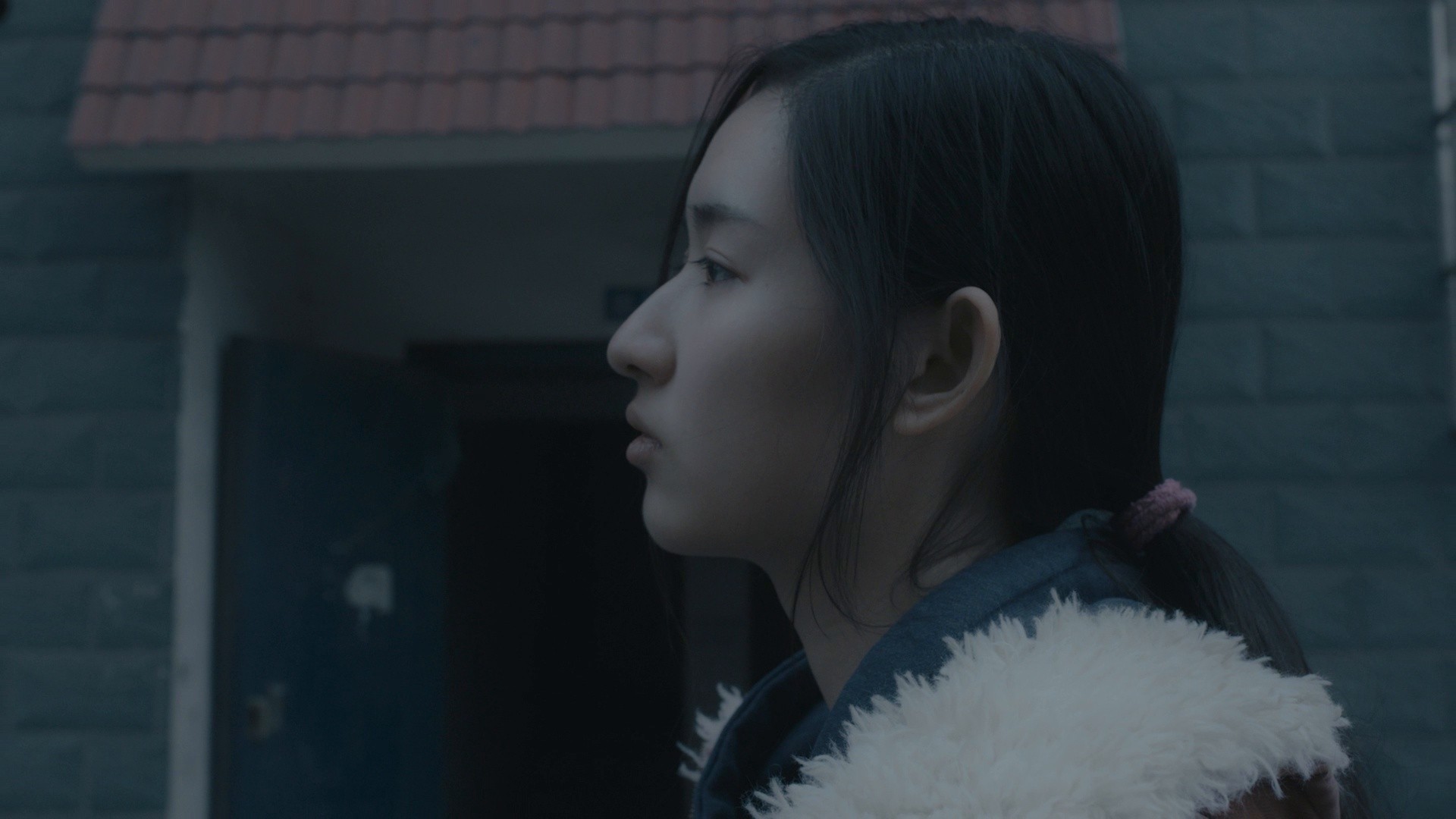 An Elephant Sitting Still (2019) —  shot,  lighting