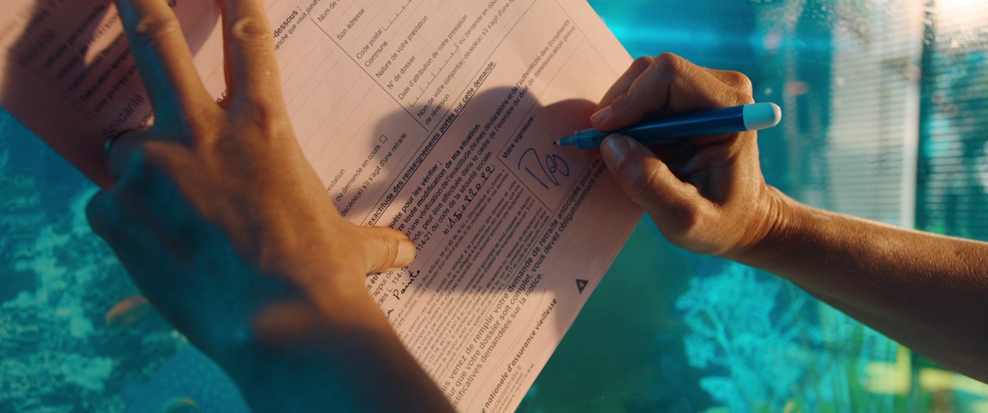 Year of the Shark (2022) —  shot,  lighting