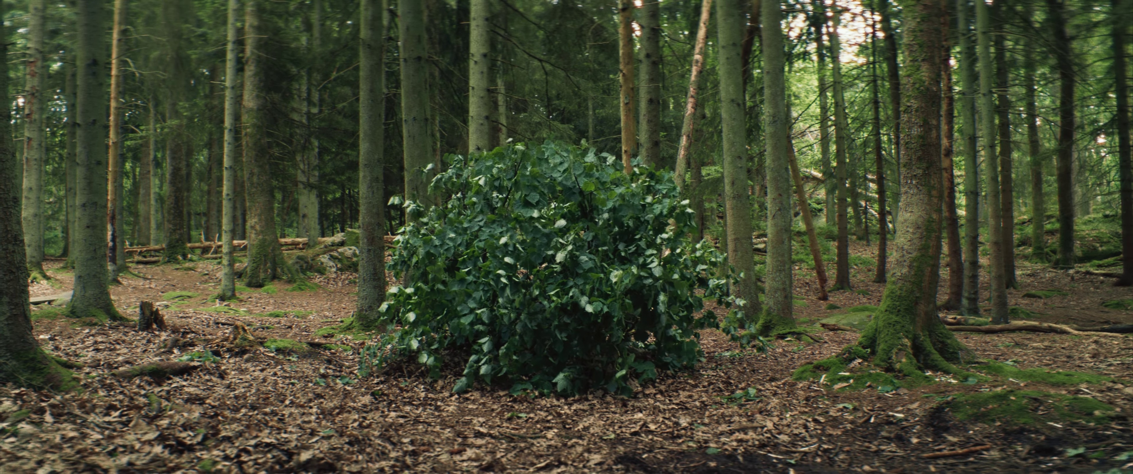 Step-Grandma (2021) —  shot,  lighting